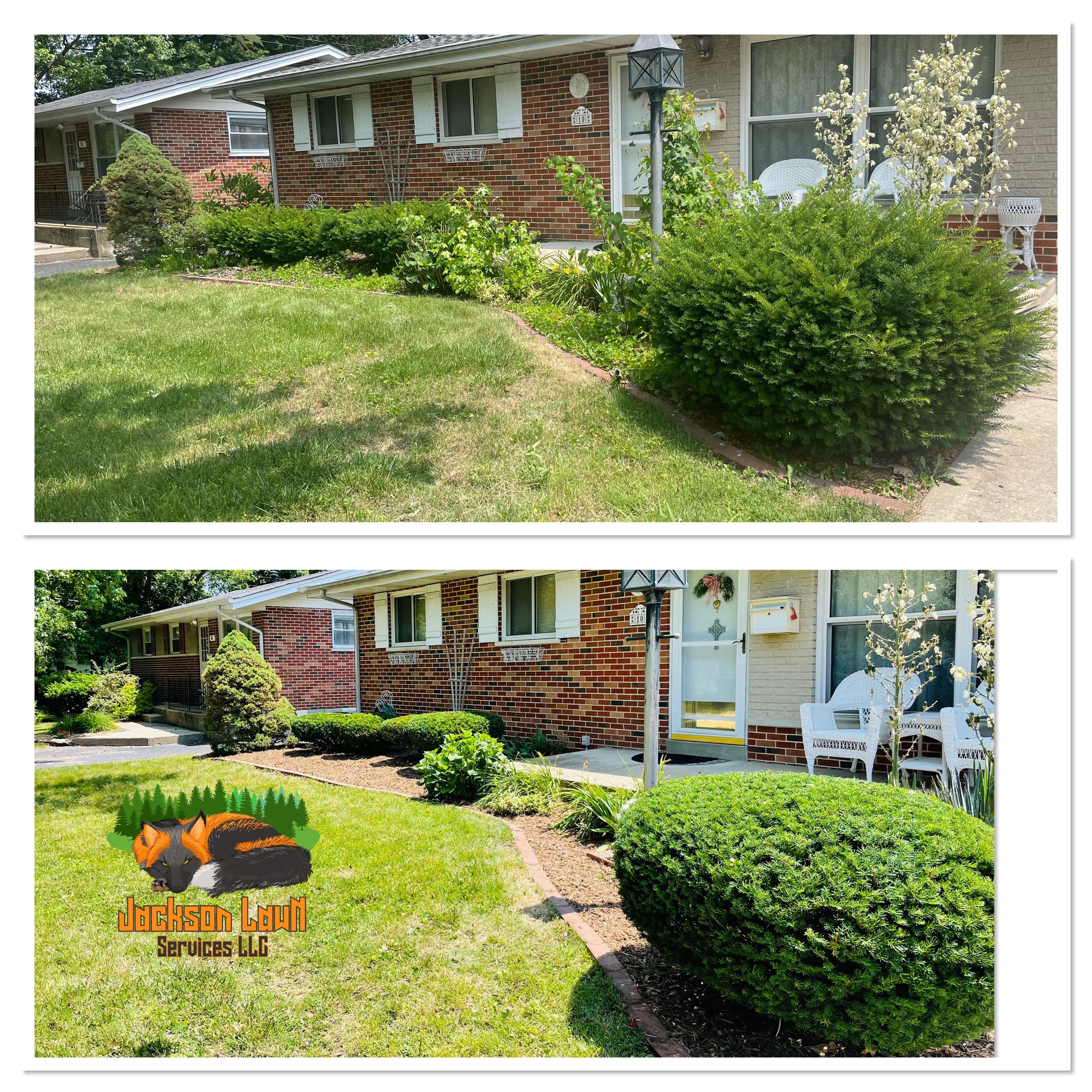 Hedge Trimming for Jackson Lawn Services LLC in St Louis, MO