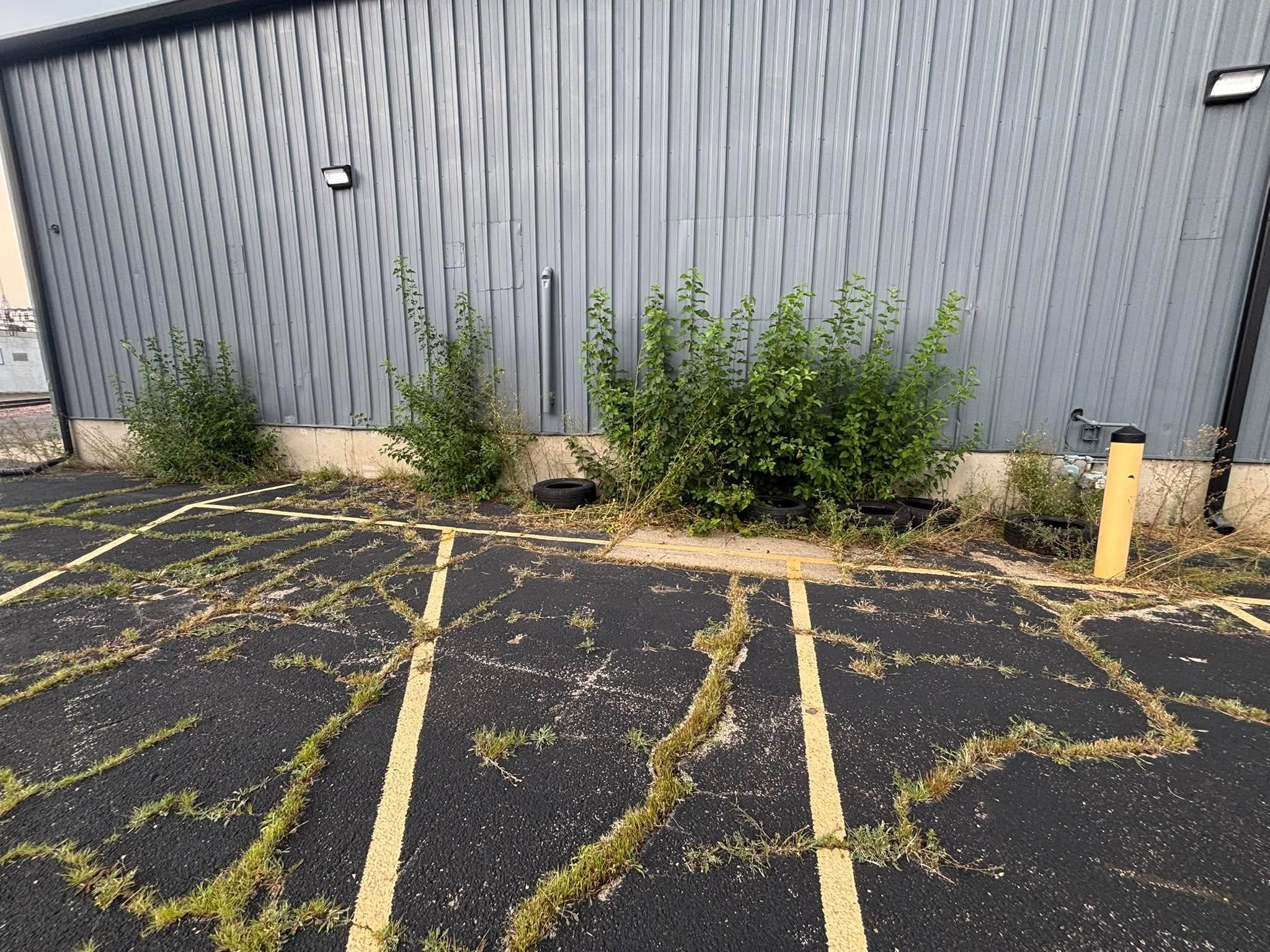  for Cena Landscaping in Rockford, IL