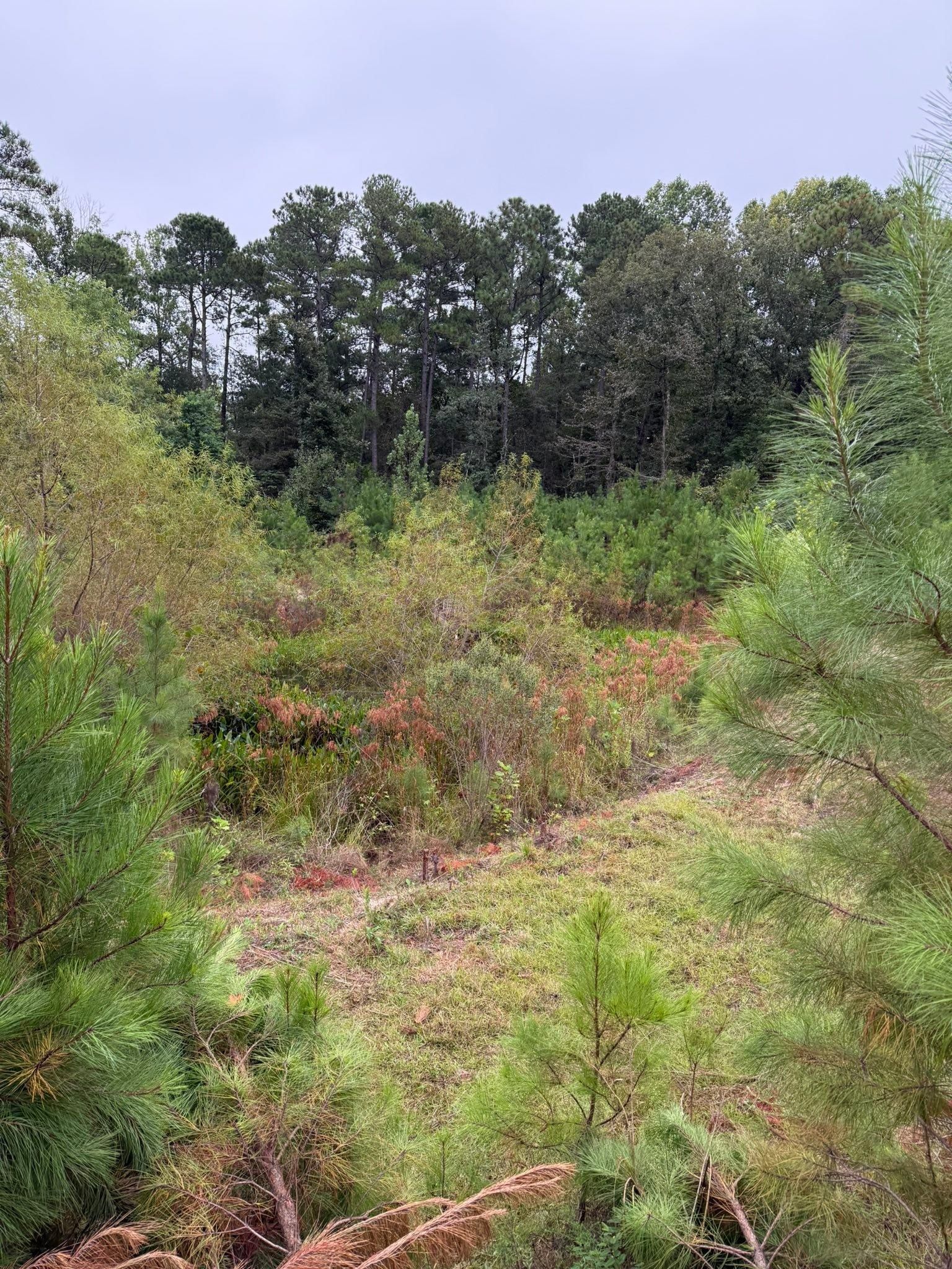  for SodGods Lawncare and Landscaping in Fayetteville , NC