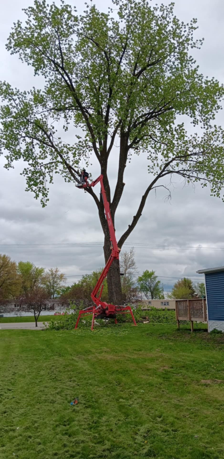  for Lawn Ranger Yard And Tree Service LLC in Ottumwa, IA