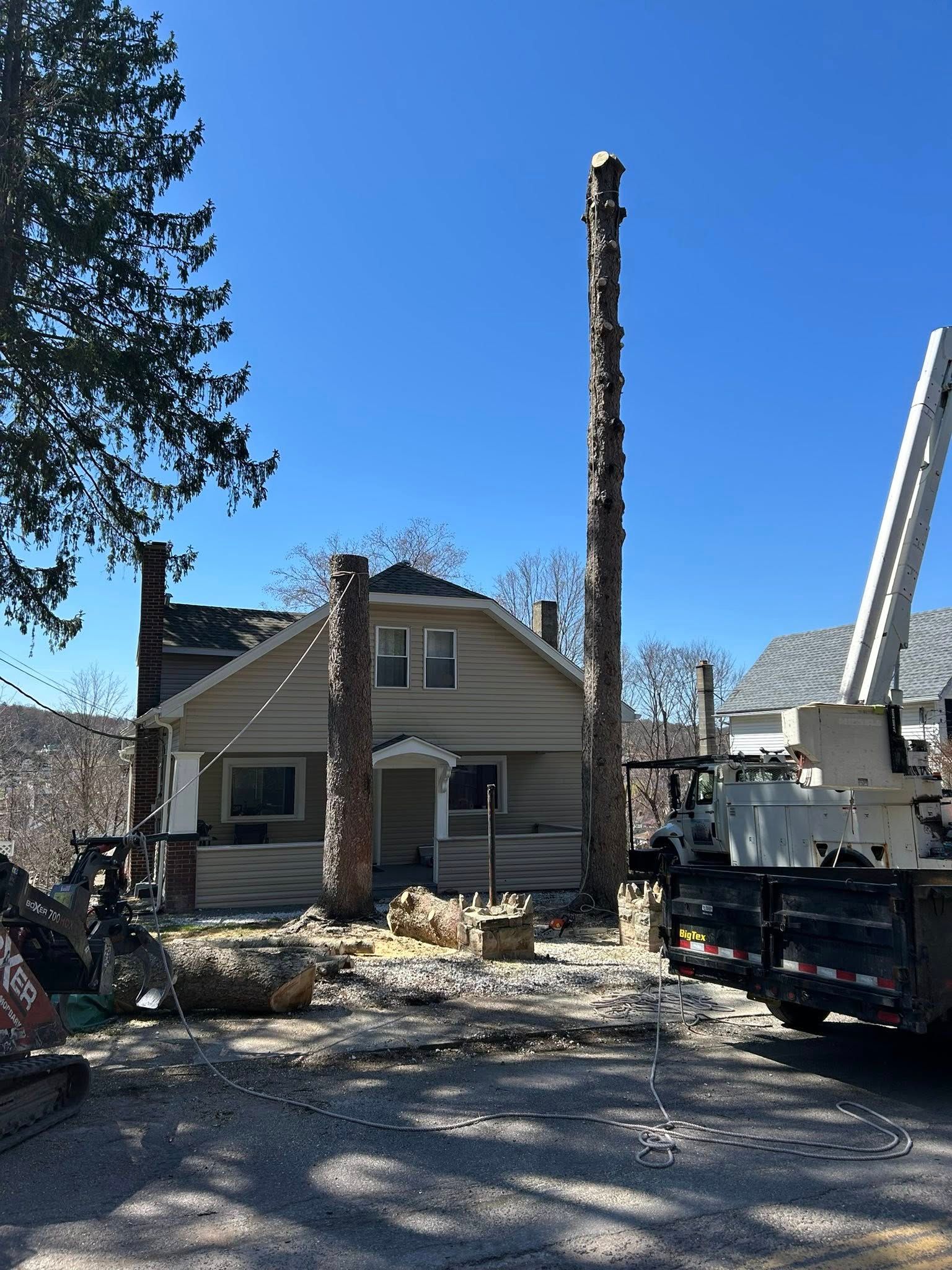  for All American Tree Services LLC in Dallas, PA