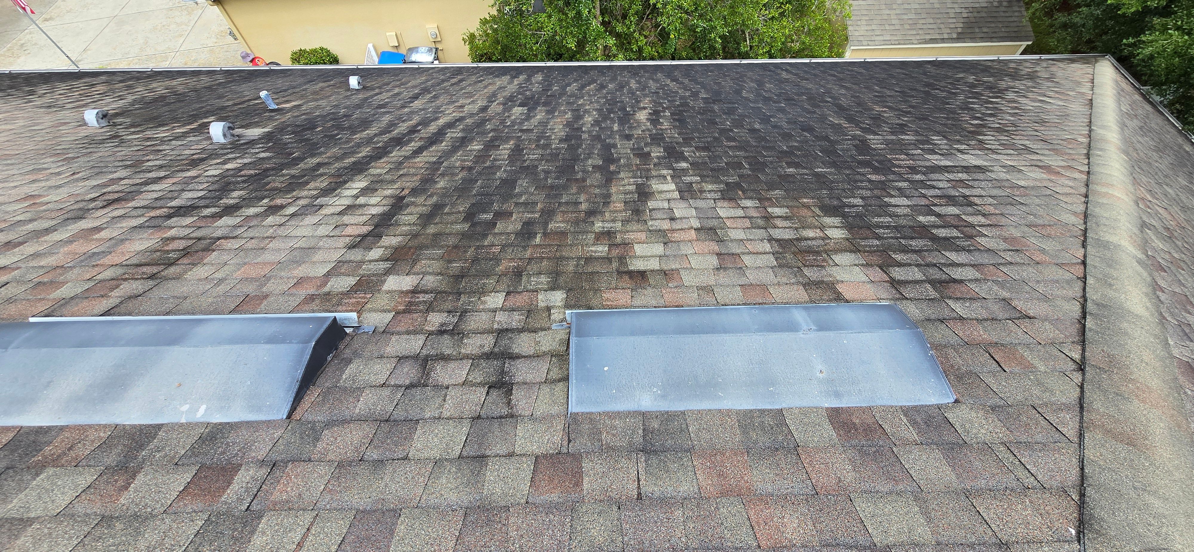  for Blue Stream Roof Cleaning & Pressure Washing in Tampa, FL