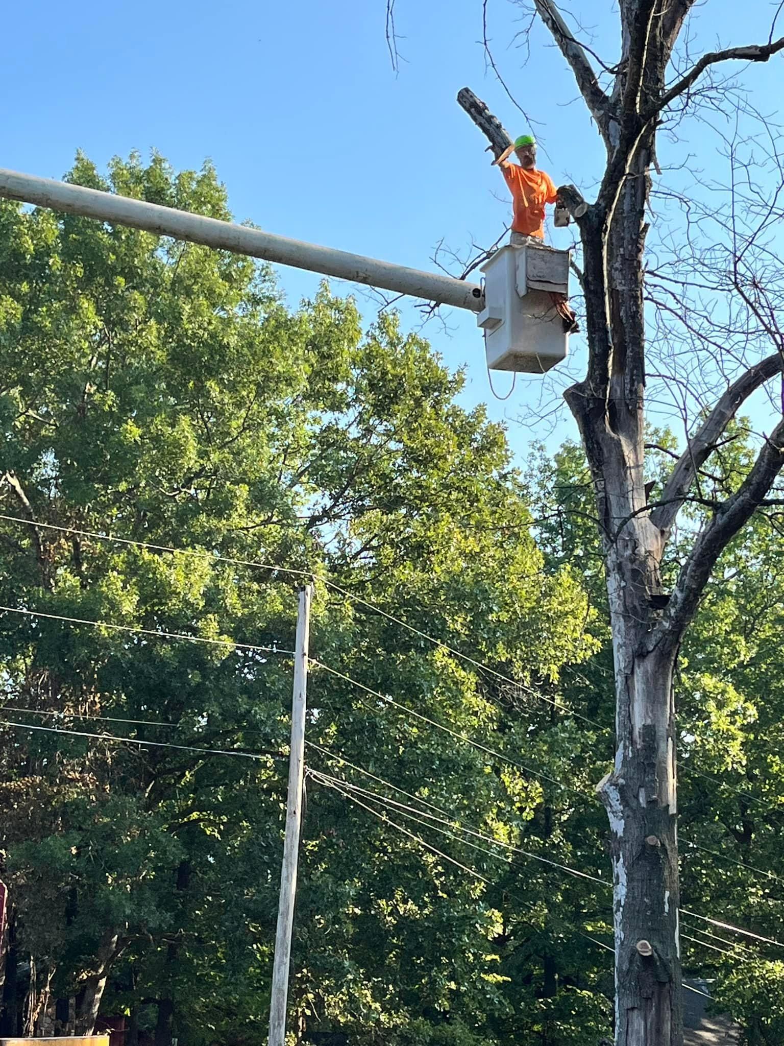  for H n H Tree Service in Taneyville, MO