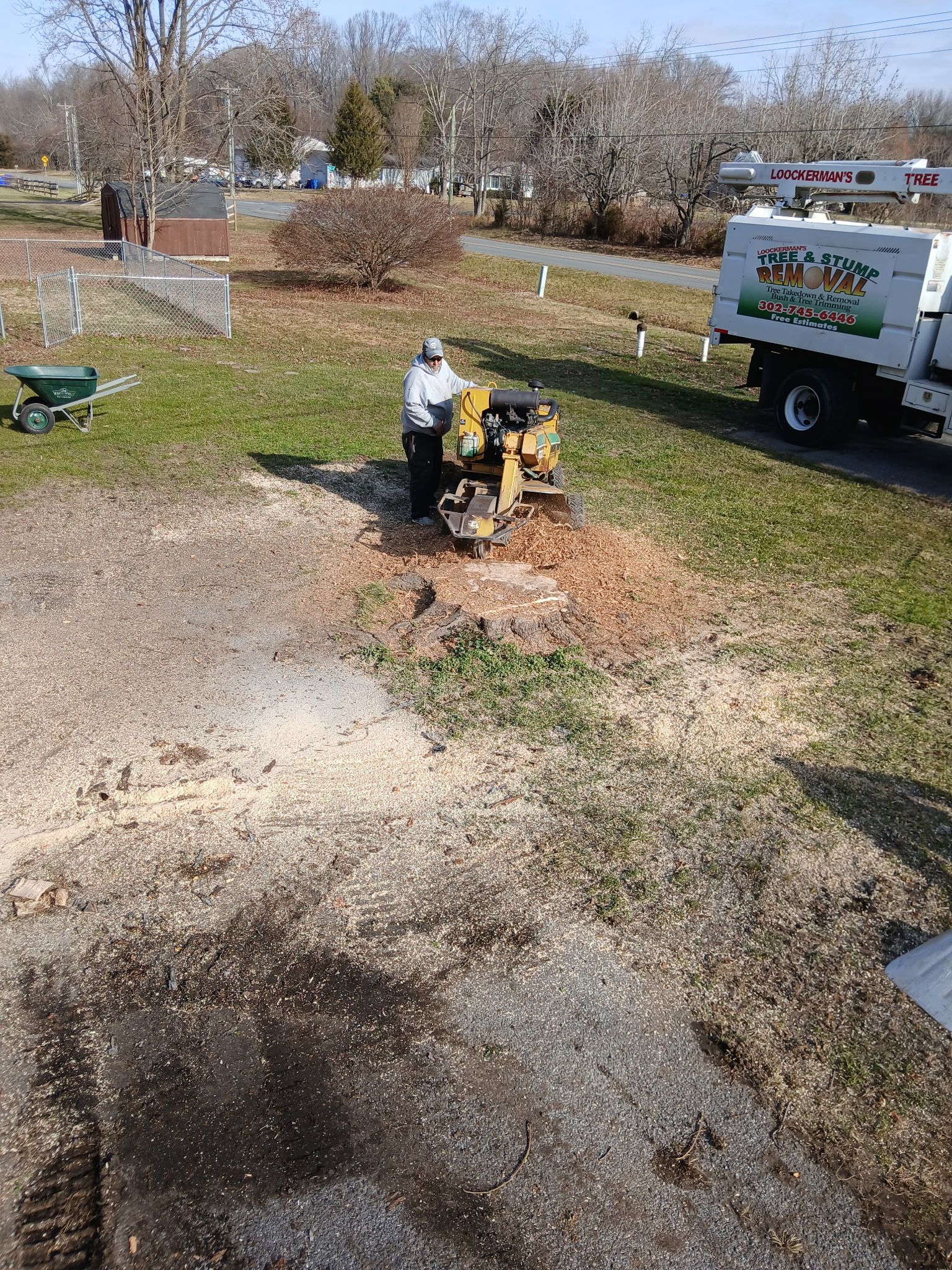  for Loockerman's Tree and Stump Removal in Dover, DE