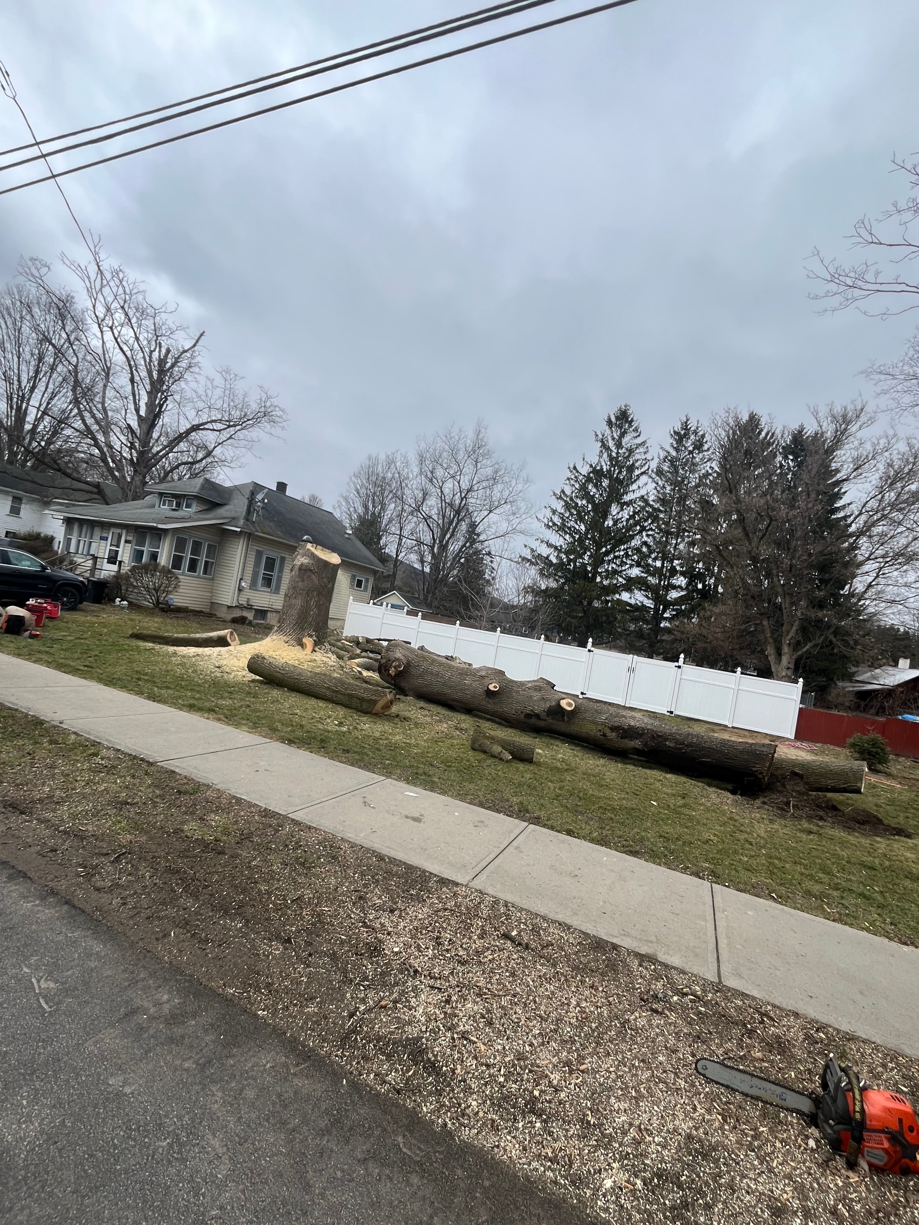 All Photos for Licensed to Cut Tree Service in Athens, PA