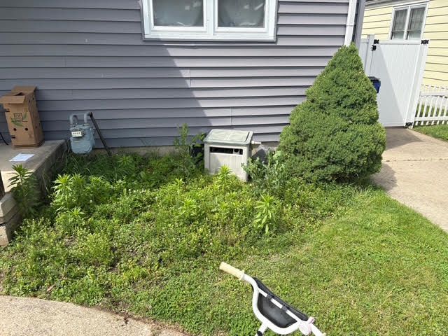  for Red Beard Lawn Care in Chillicothe, OH