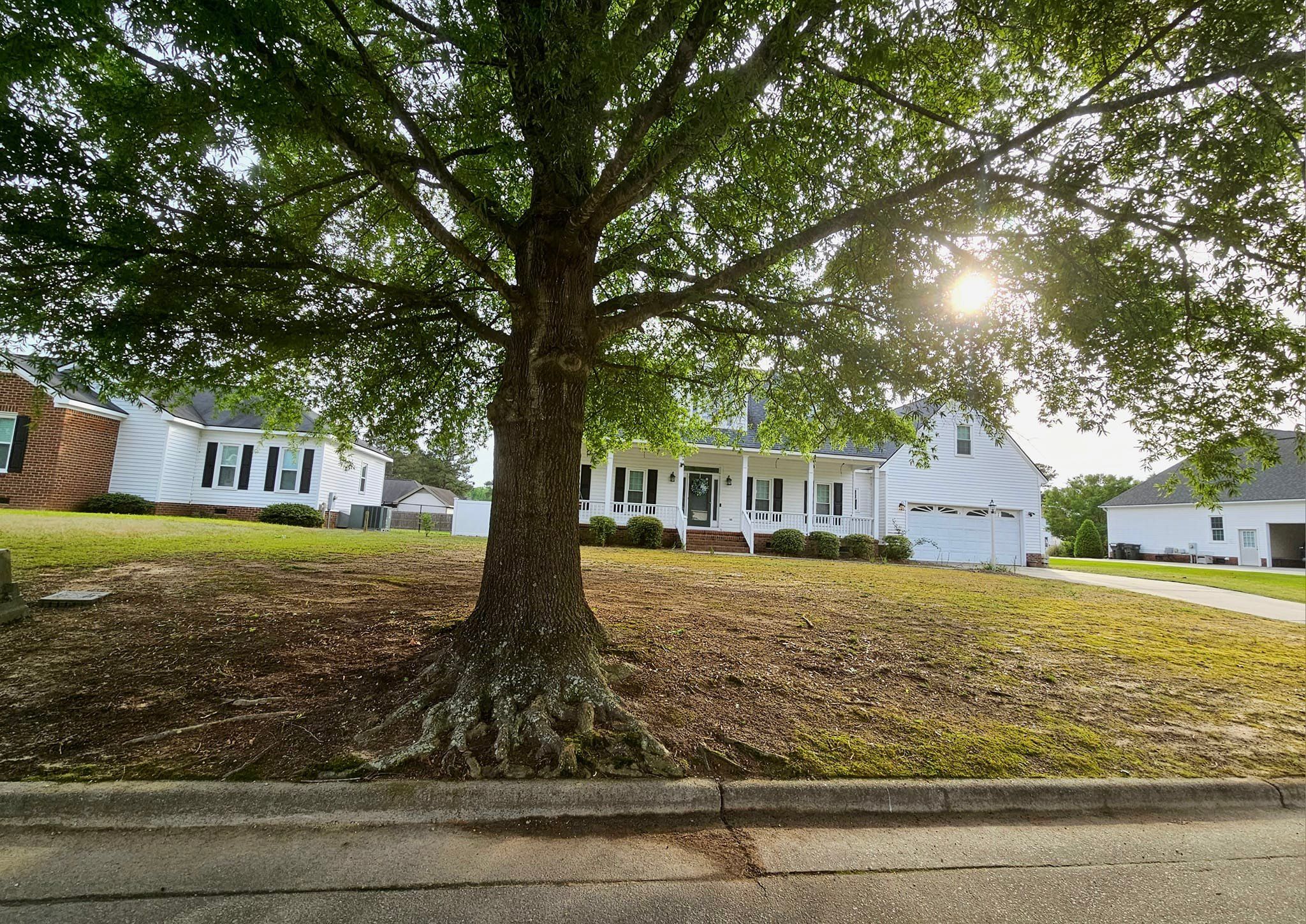 All Photos for Natures Accent in Wilson, NC