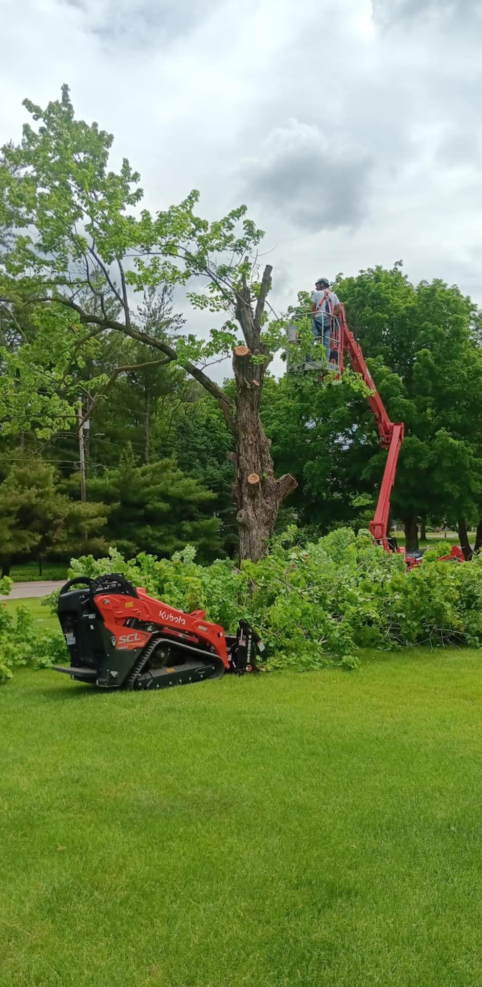  for Lawn Ranger Yard And Tree Service LLC in Ottumwa, IA