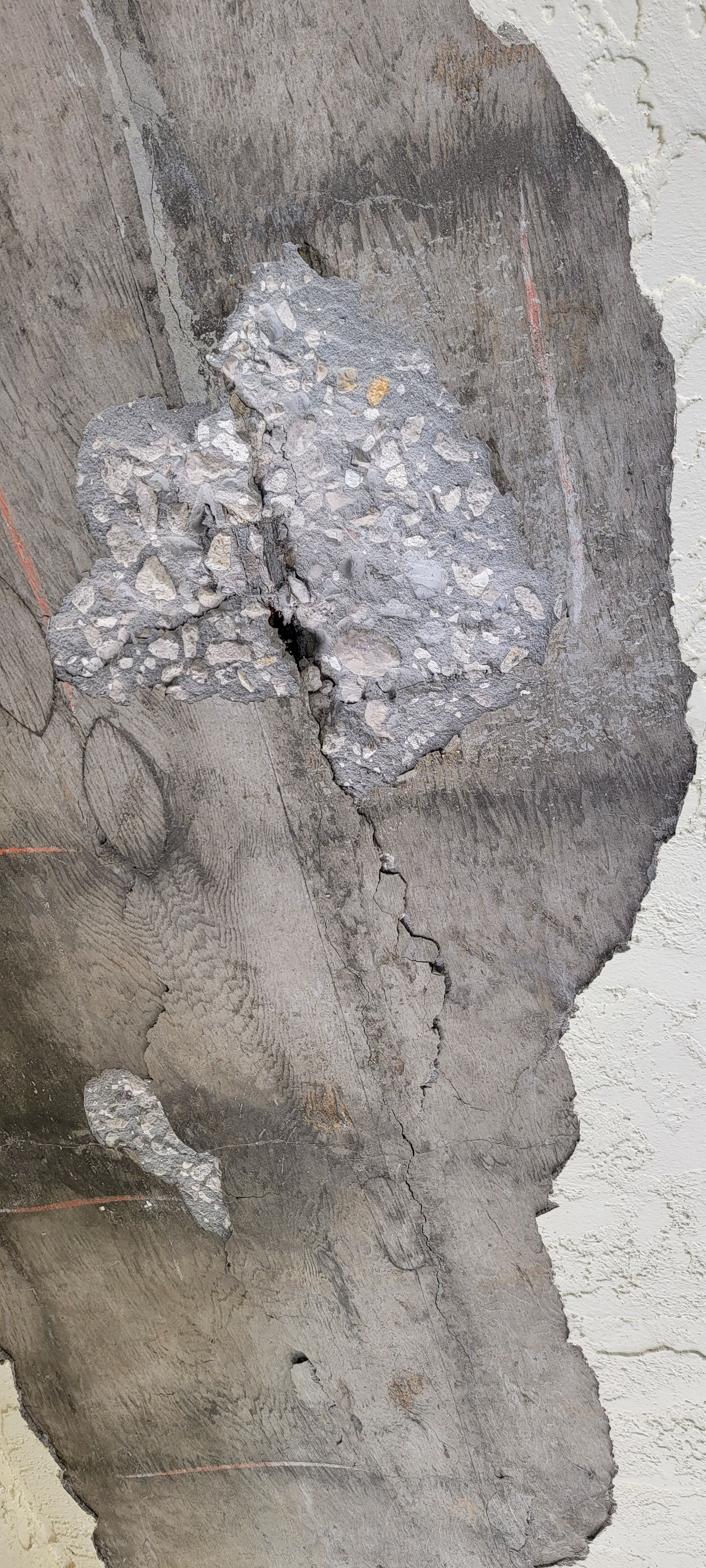  for Millenium Construction & Property Management in Tampa, FL