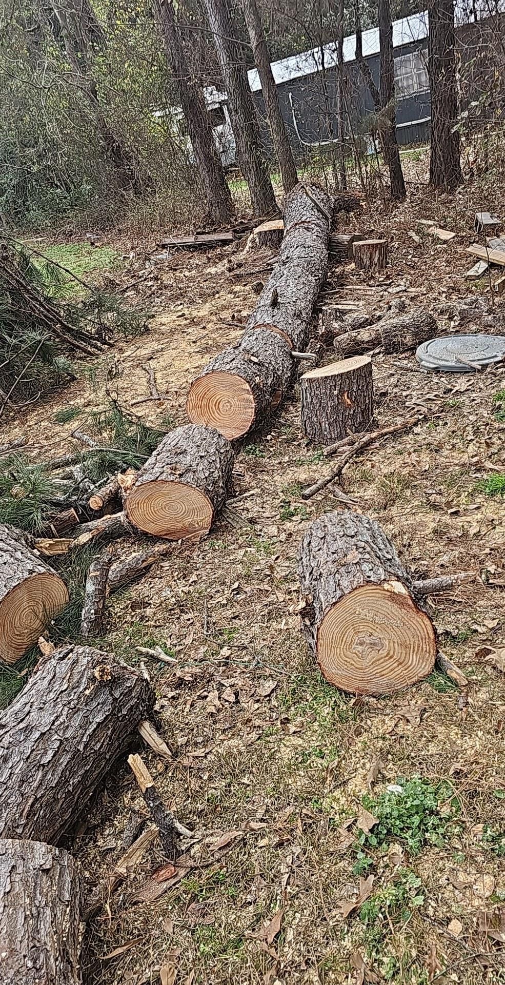  for O'Connor Clearing and Hauling LLC in Anderson County, SC