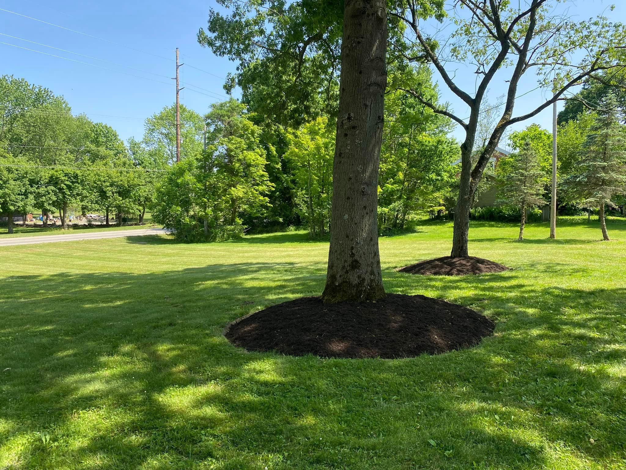  for Jenkins Landscaping & Property Management LLC in Clinton, OH