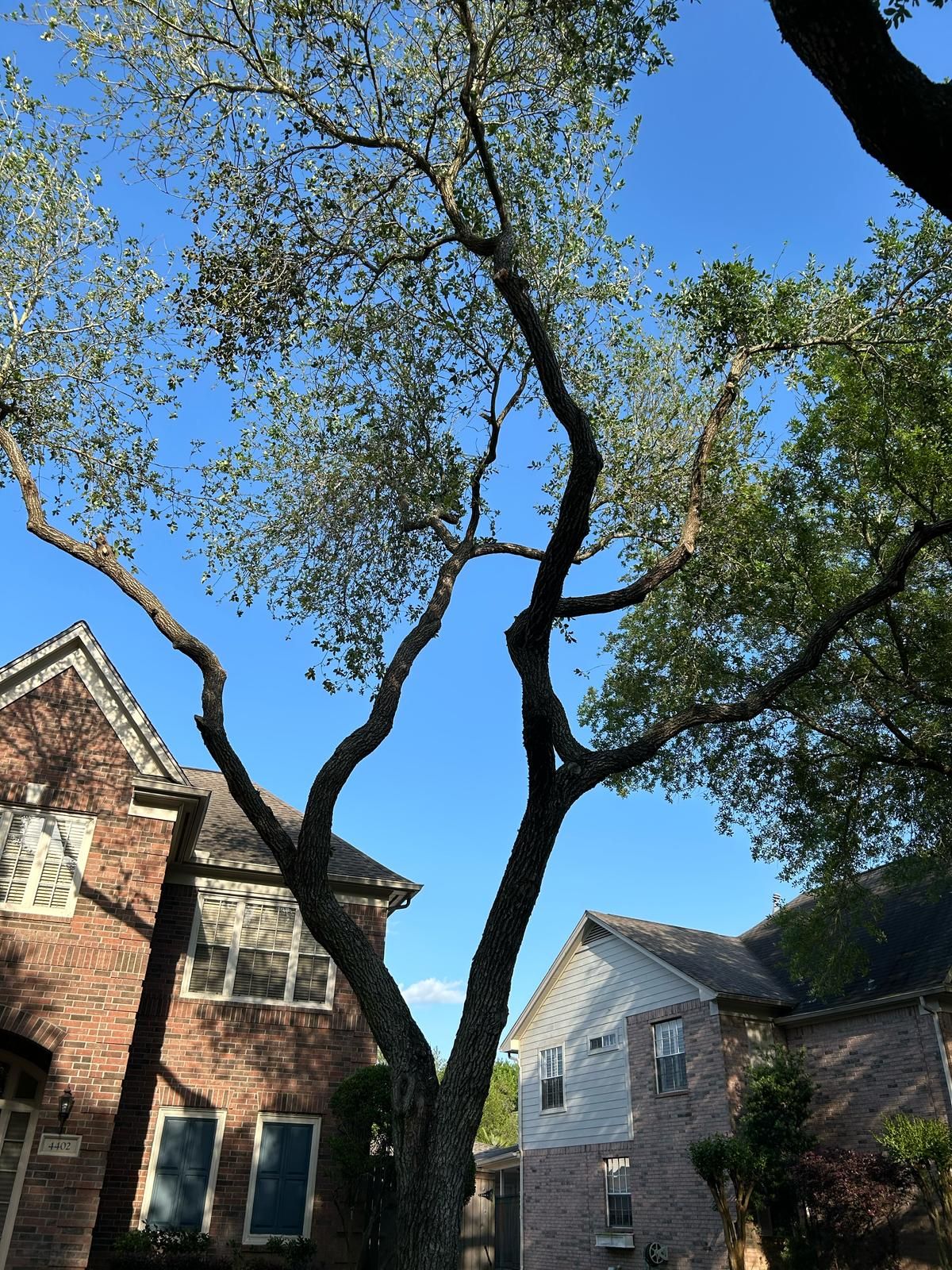  for Right Choice Landscaping LLC in Houston, TX