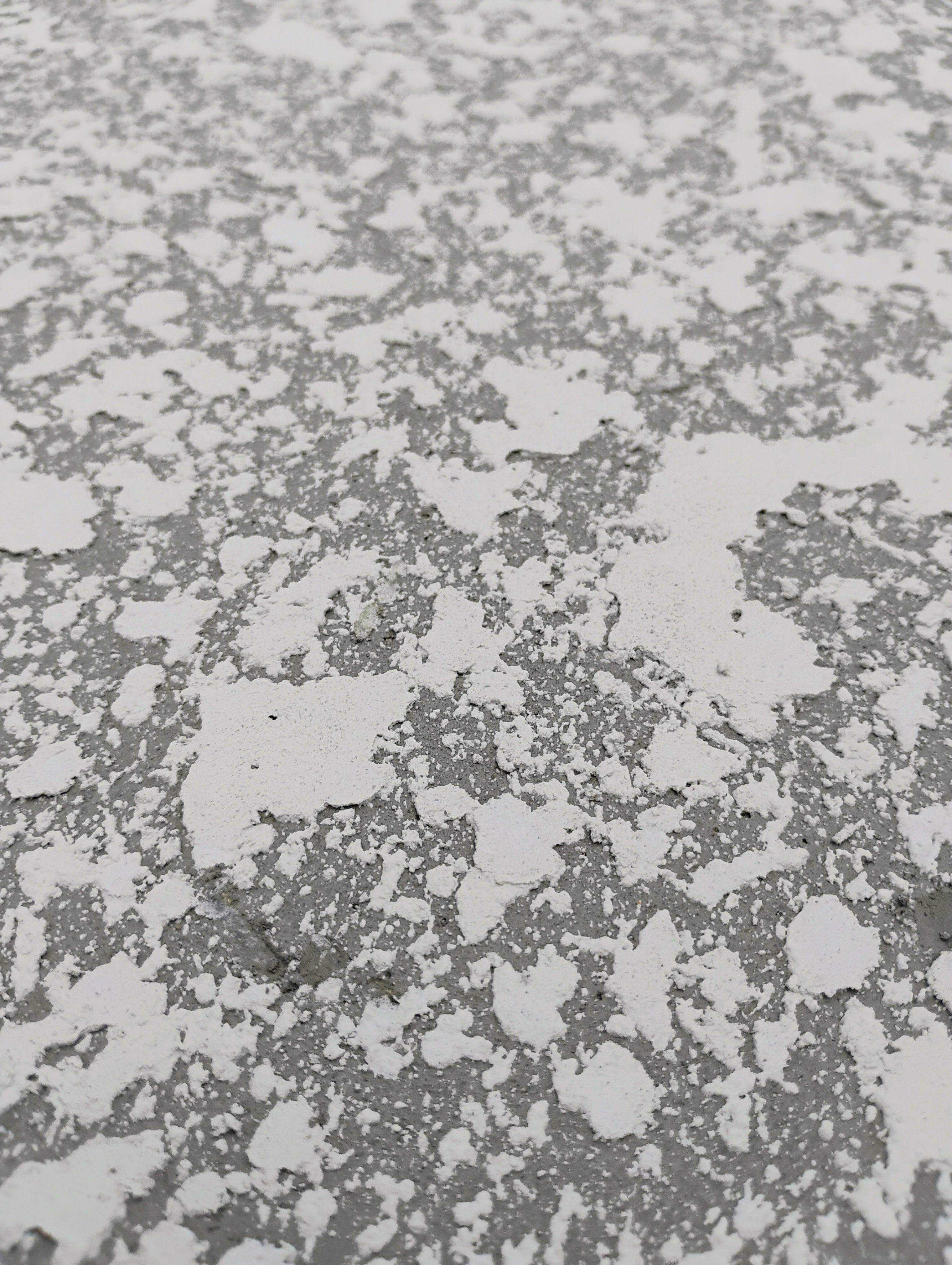  for American Acrylic Concrete Coatings in Longwood, FL