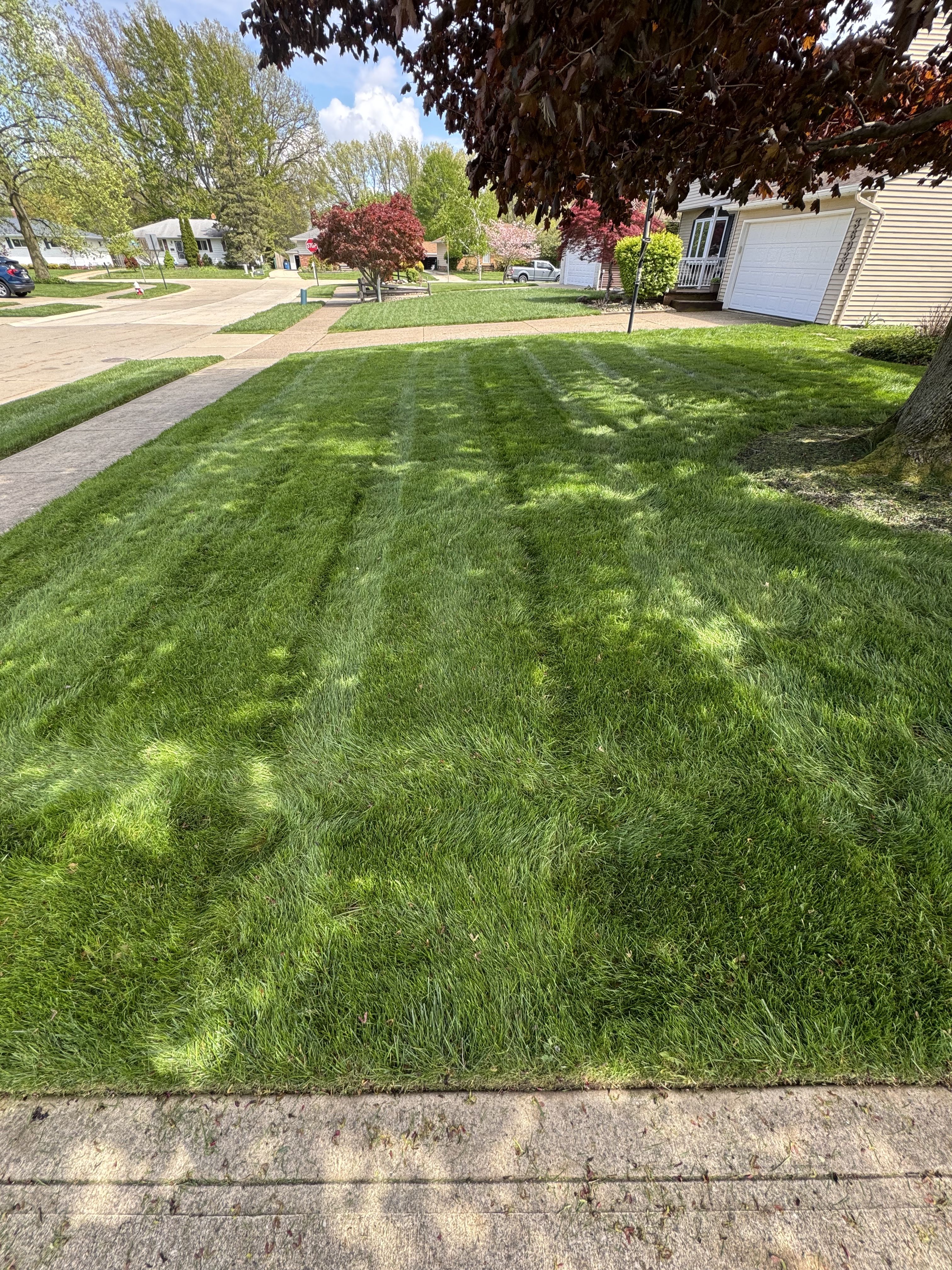  for Yard Theory L.L.C. in Willowick, OH