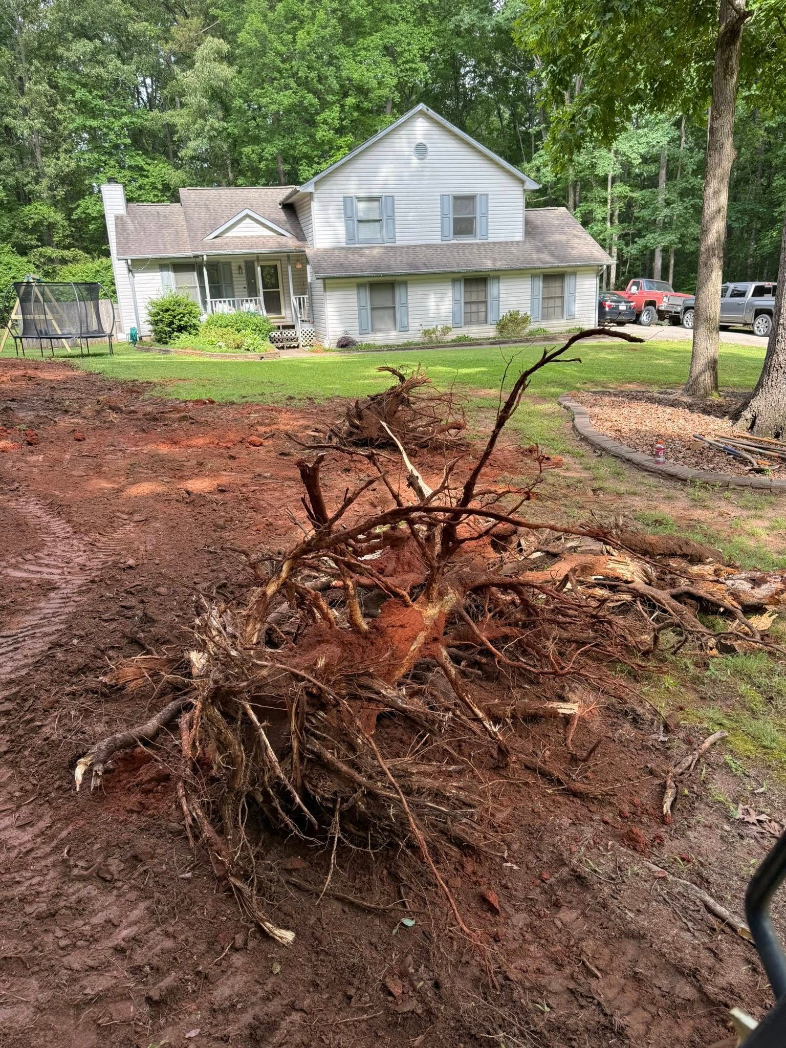 Stump Removal for J&J Hauling and Outdoor in Fayetteville, GA