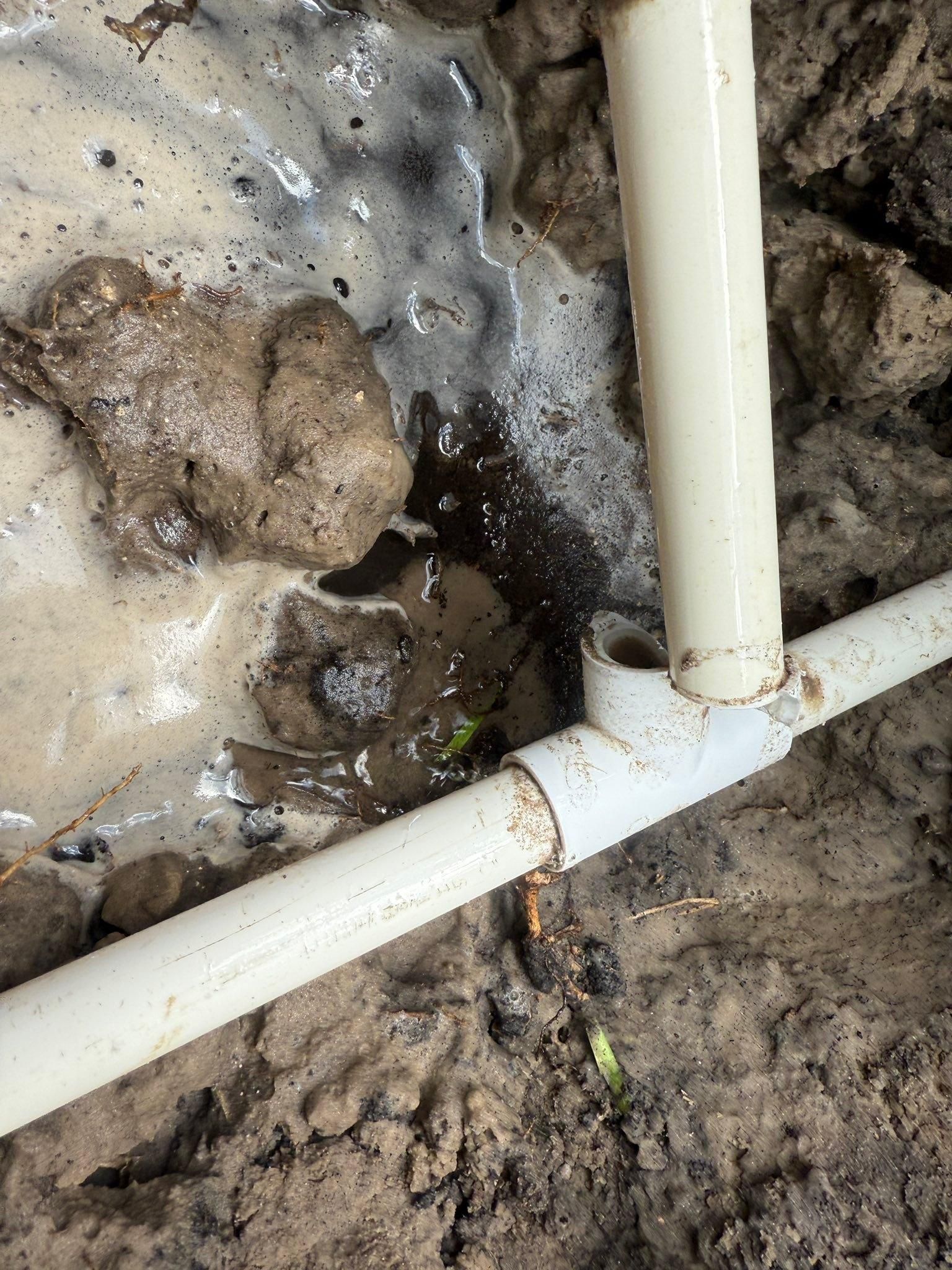 All Photos for Pavone Irrigation in Spring Hill, FL