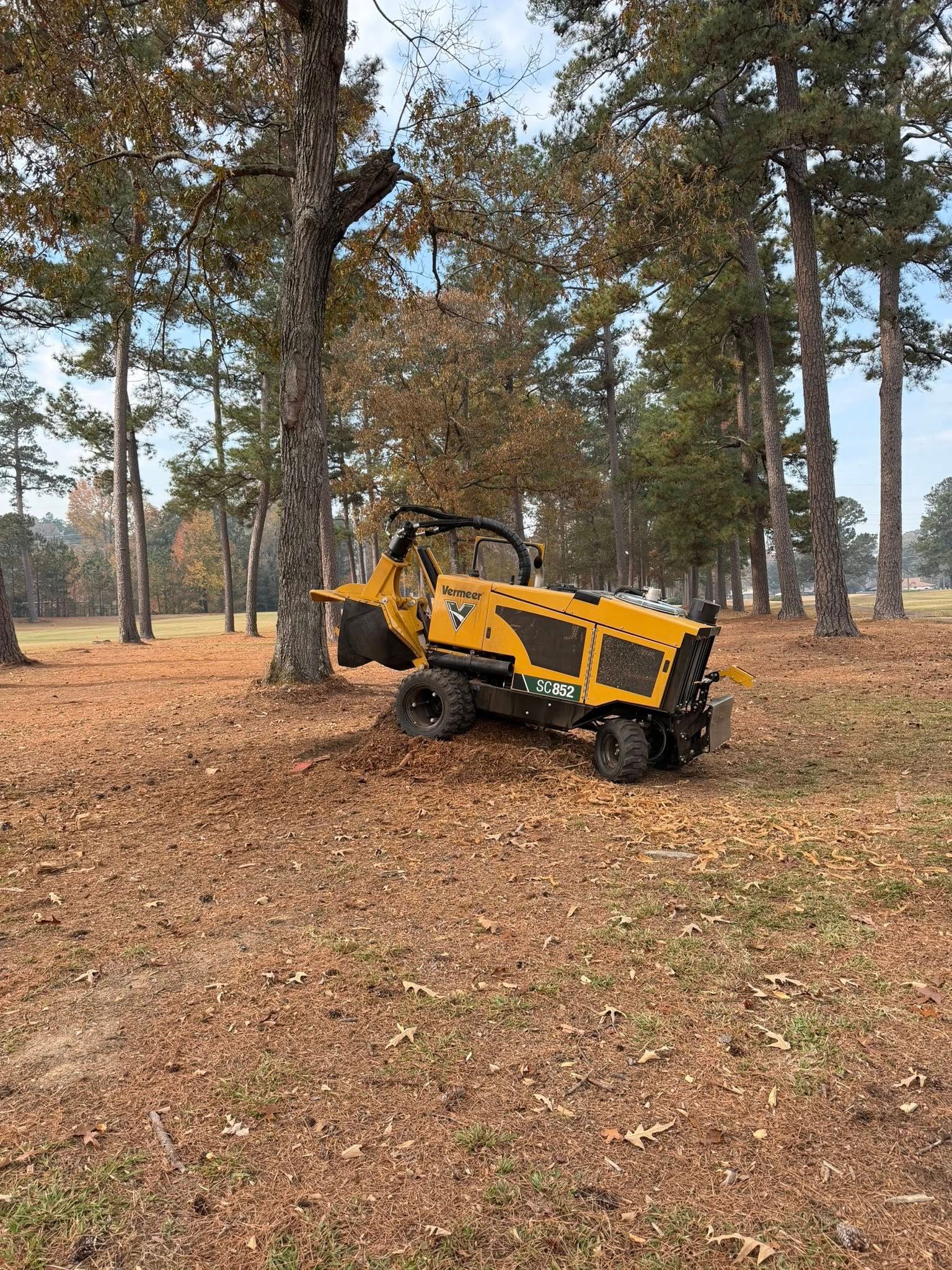  for Dozier Stump Grinding in Augusta, GA