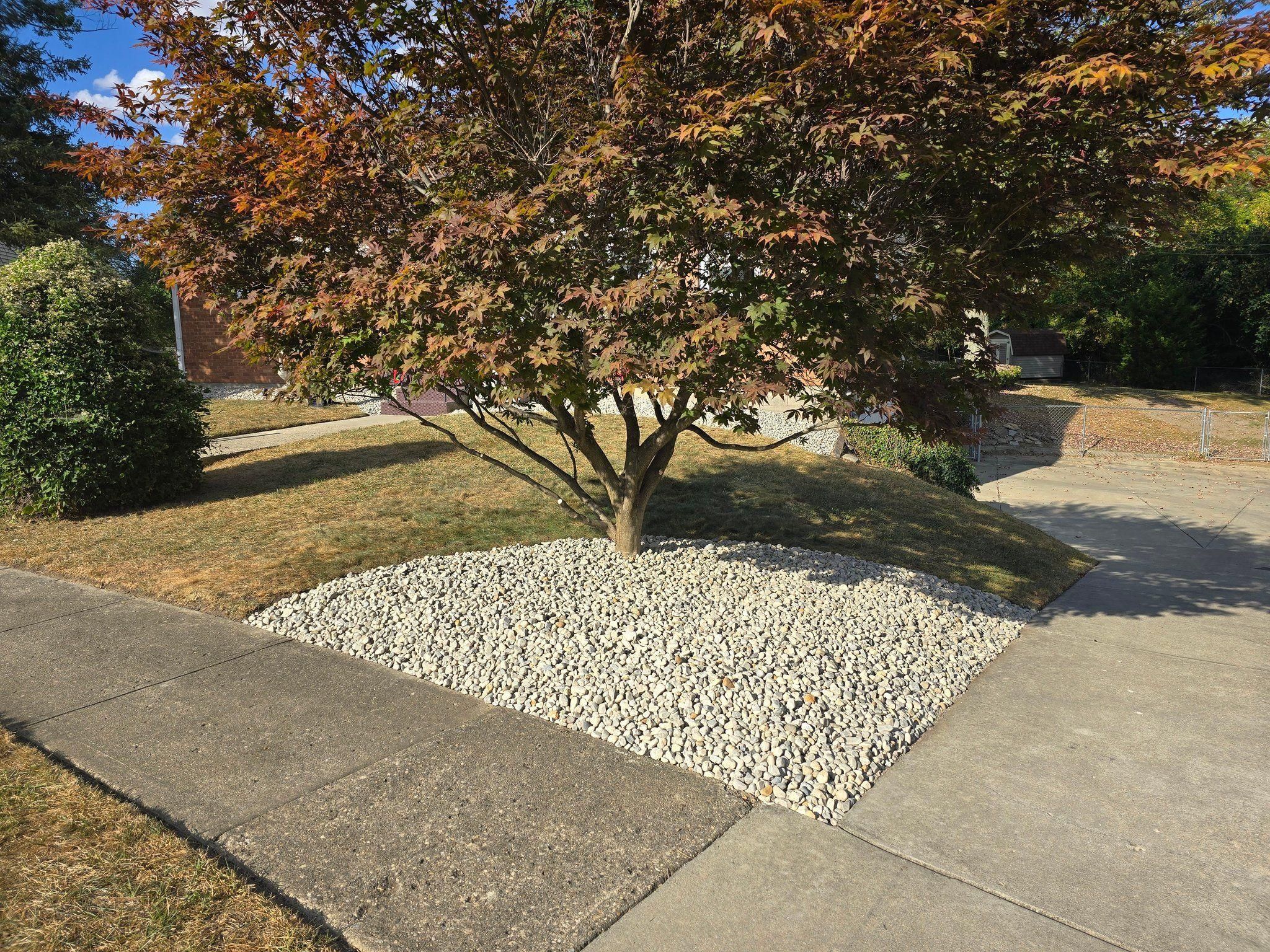 All Photos for Tingley's Green Land Services in Springfield, Ohio
