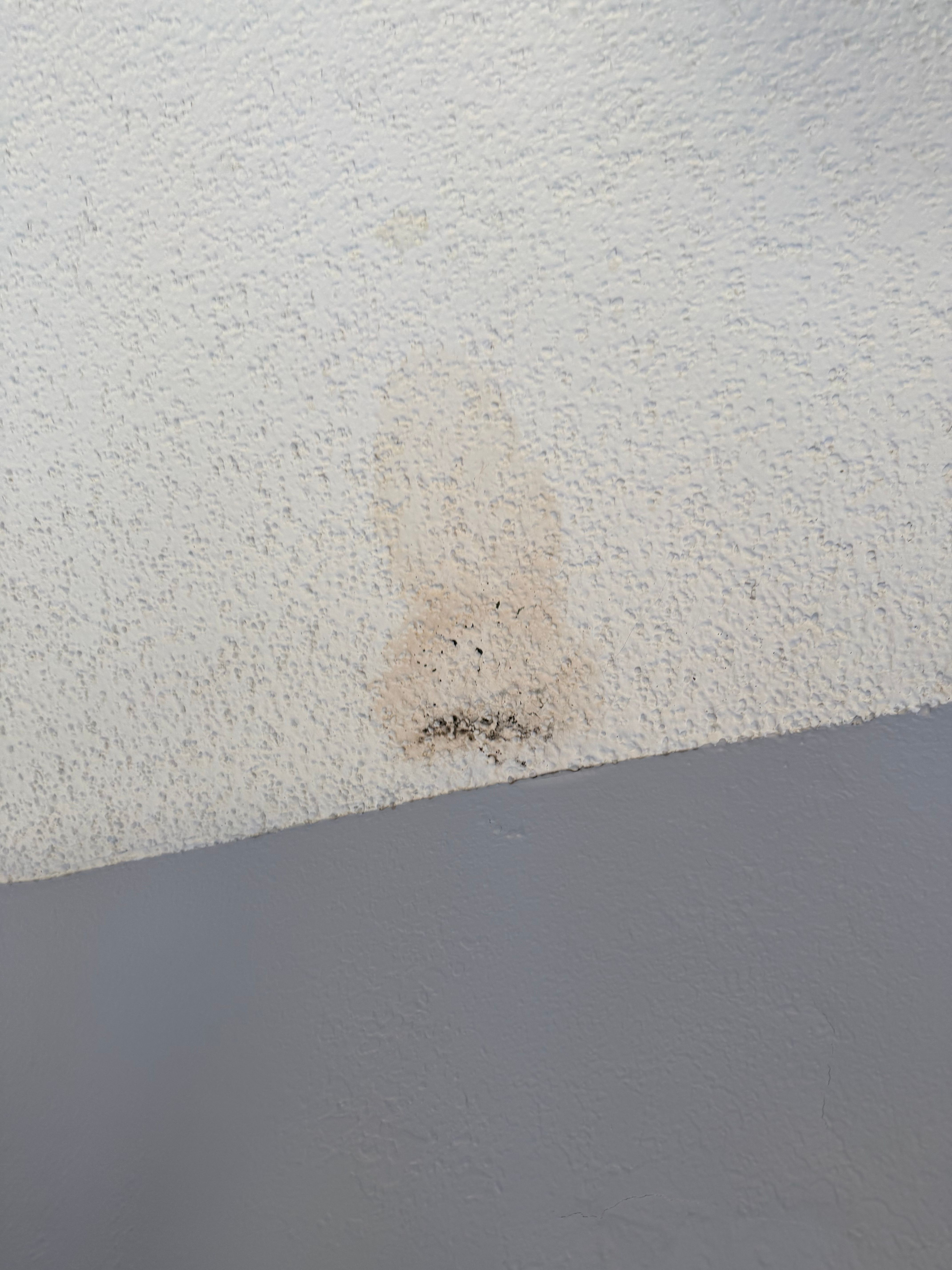  for Propertifix Handyman & Renovation Services in Lancaster, TX