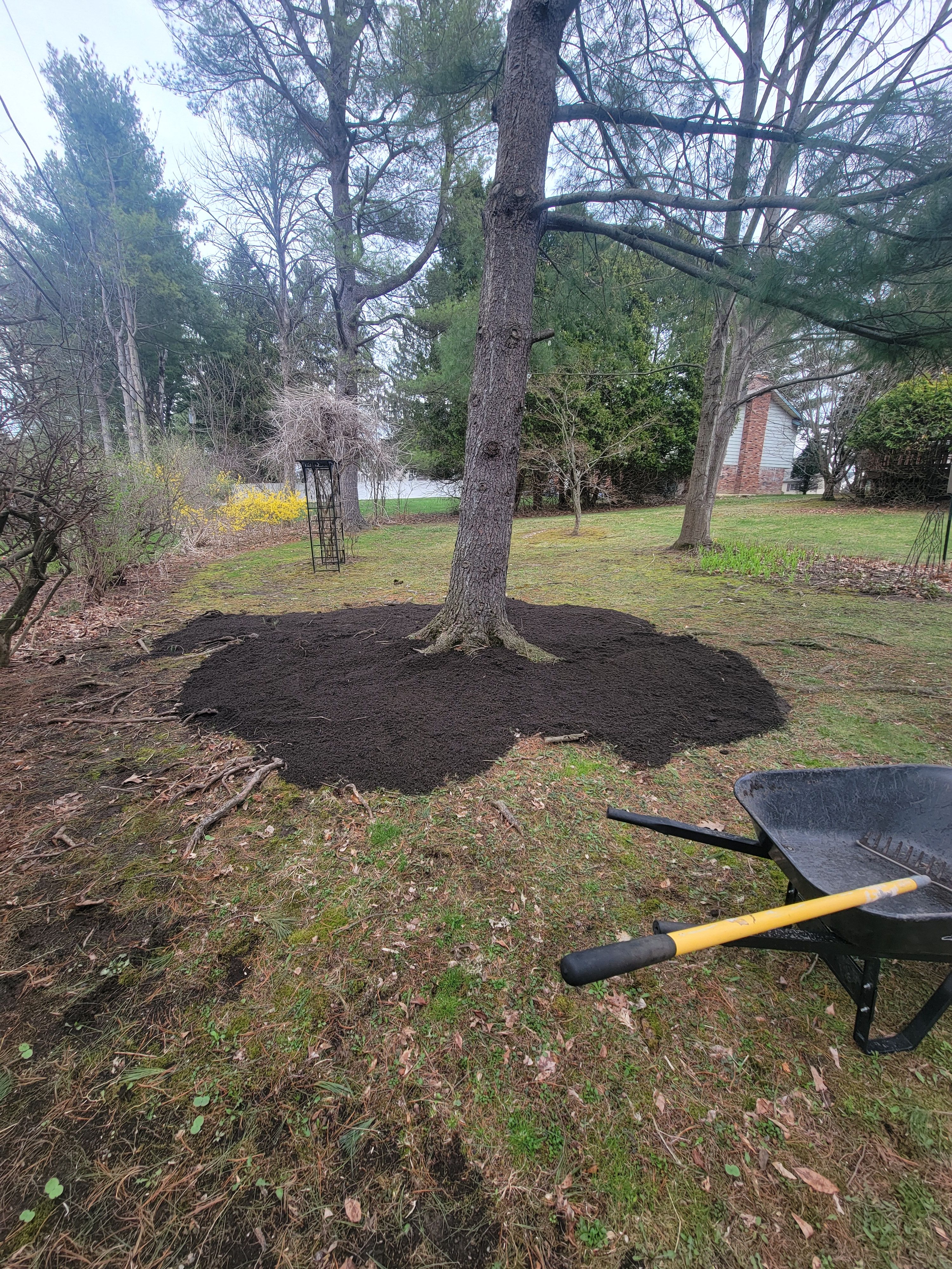  for Sweet Scapes in Ballston Spa, NY