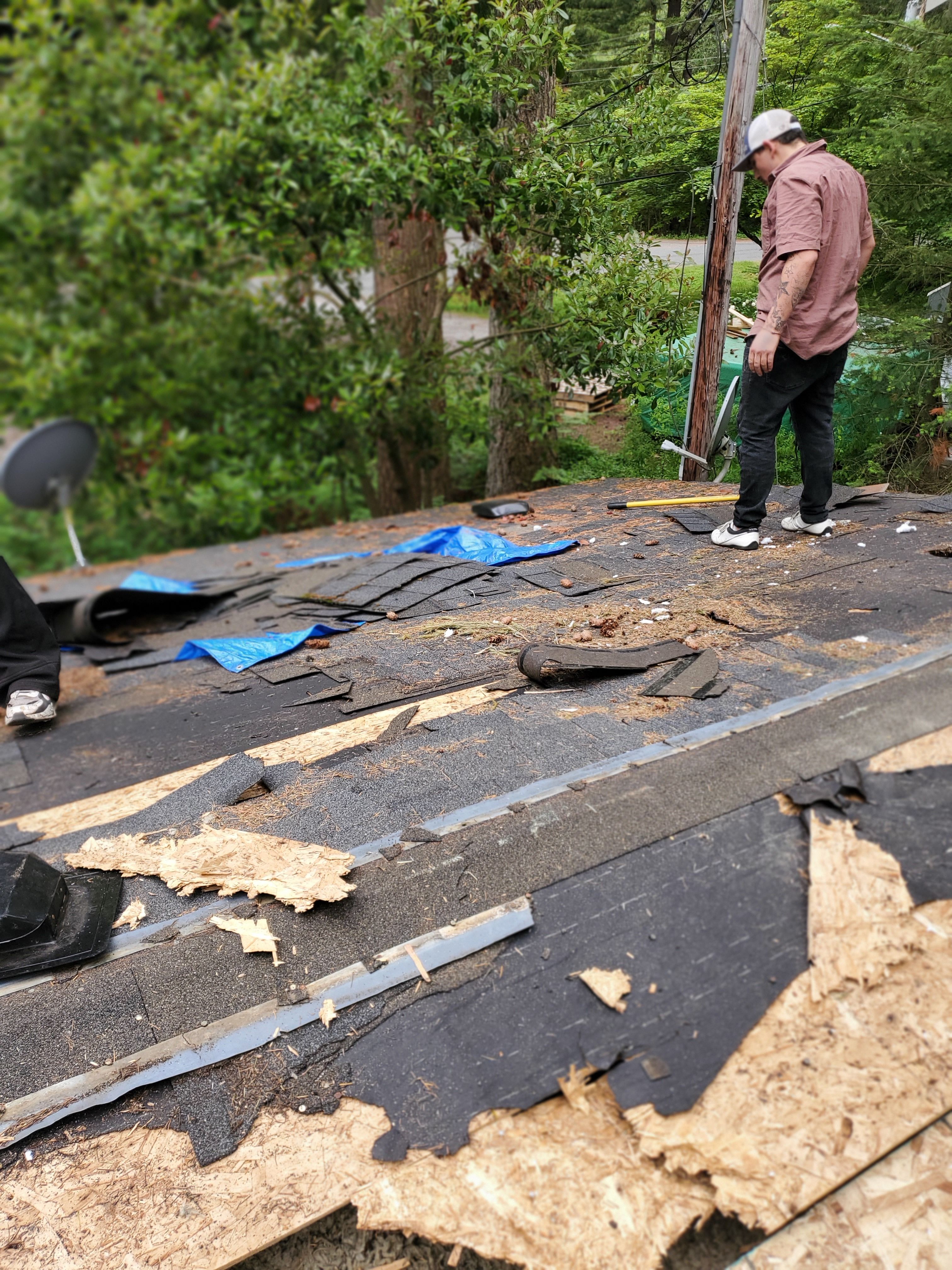  for Home Pros in Maple Falls, WA