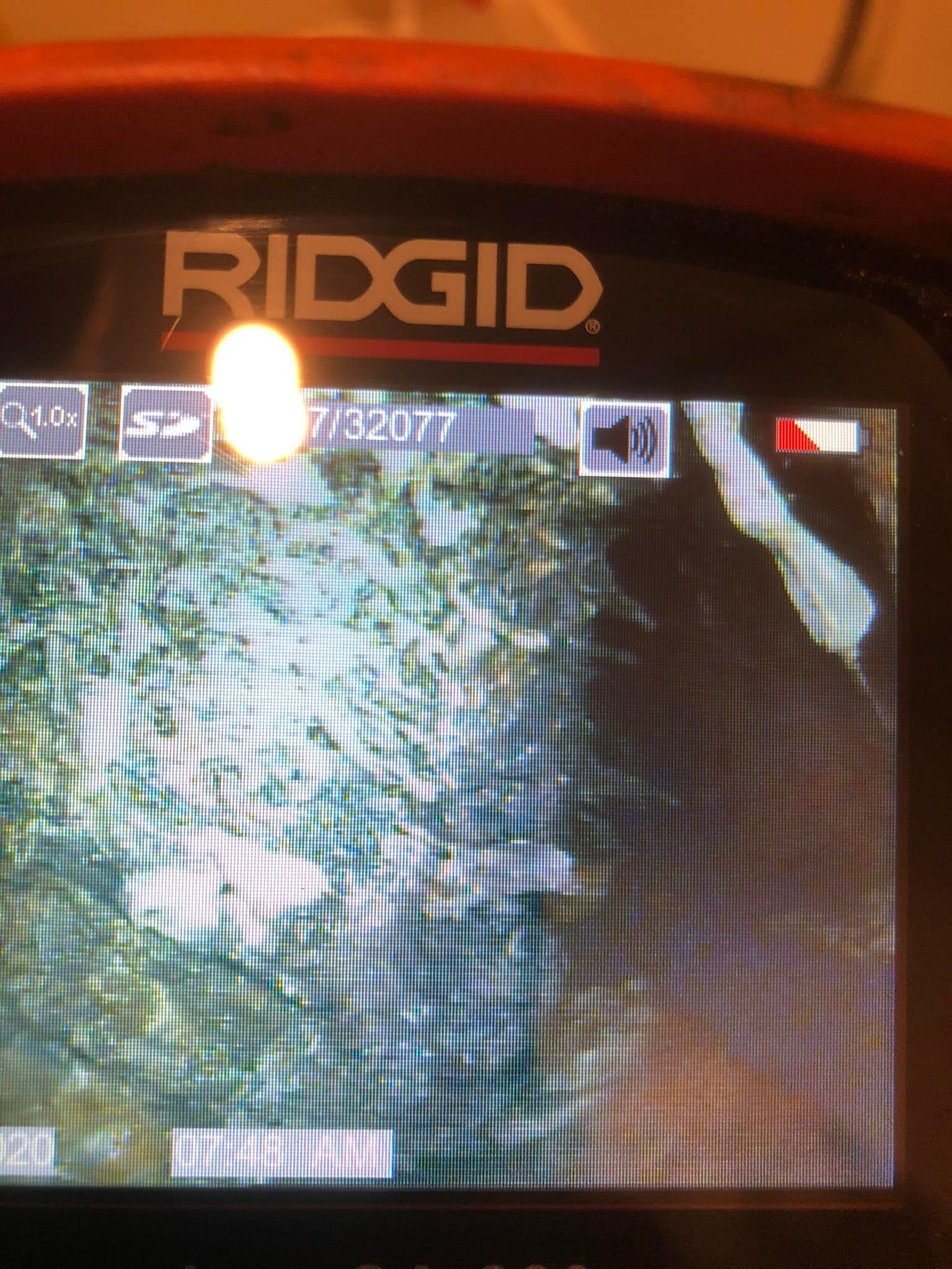  for Drain Pro Plus in Essex, MD