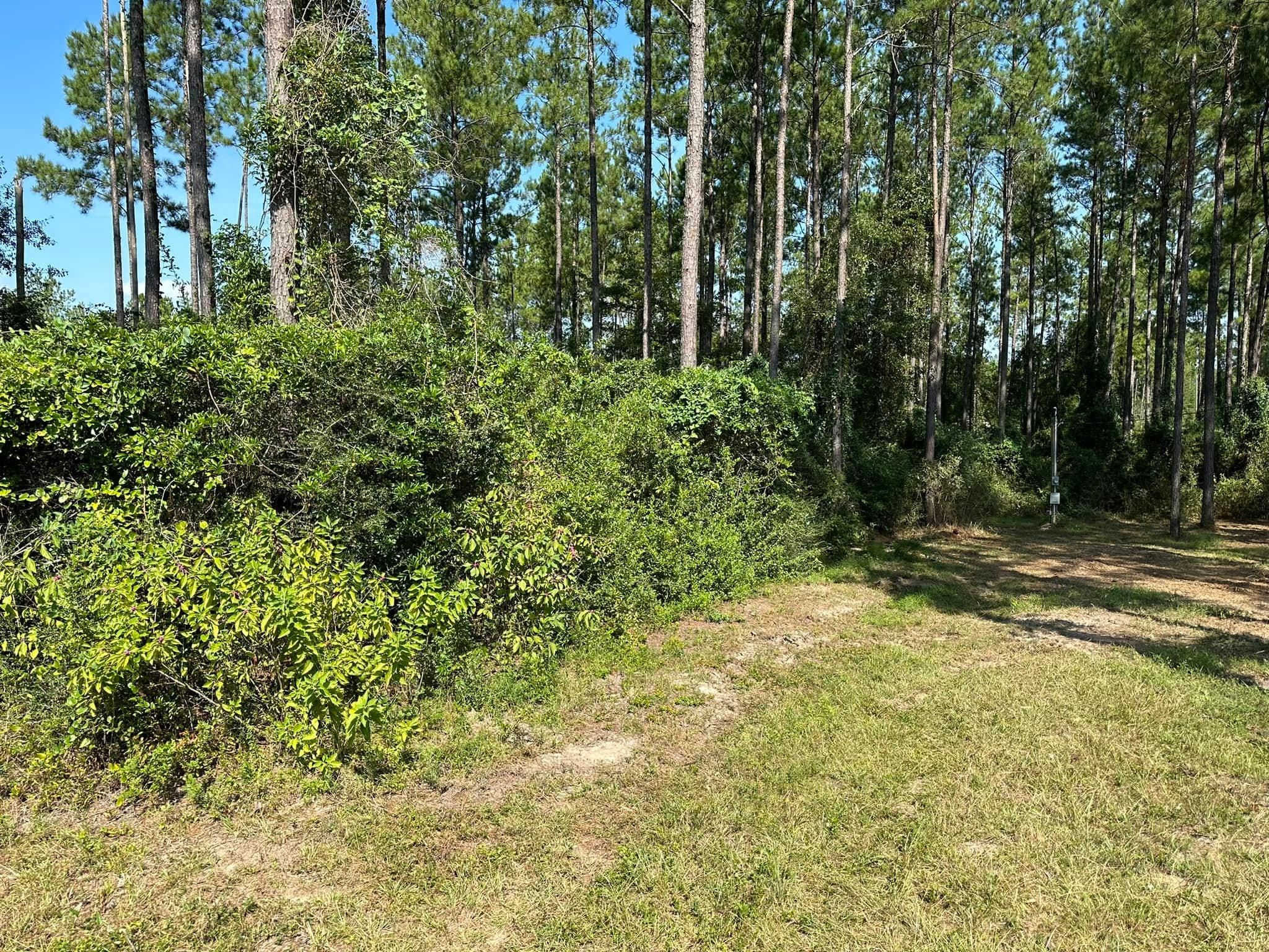  for White’s Land Maintenance in Milton,, FL