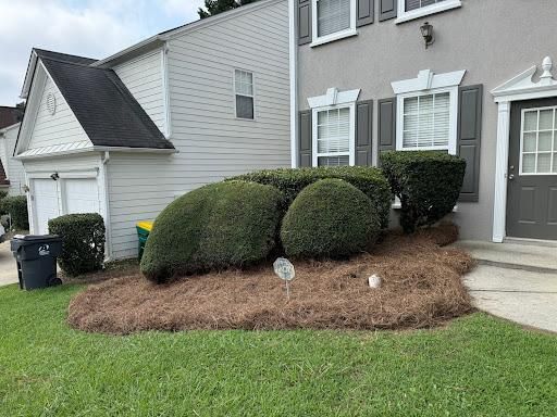  for Two Brothers Landscaping in Atlanta, Georgia