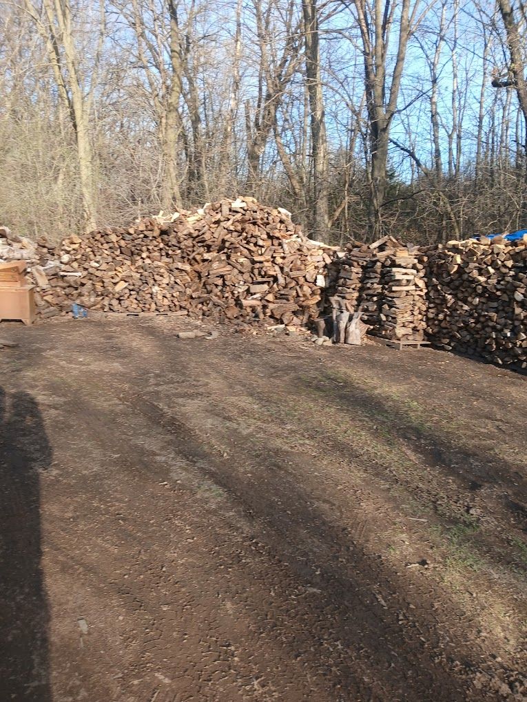  for Rockford Tree Specialist in Rockford, MN