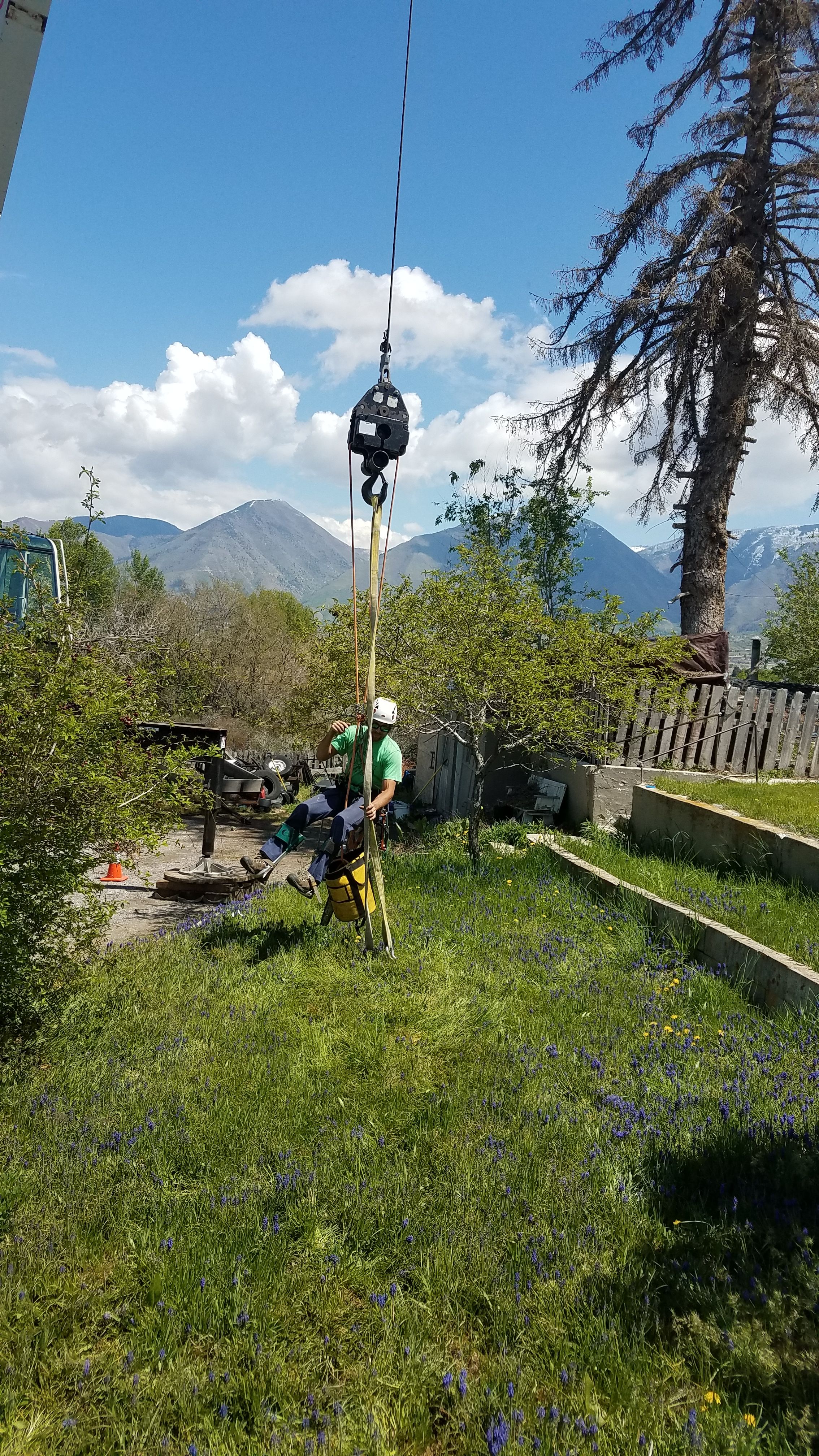 for Platinum Lawn Service in Santaquin, UT