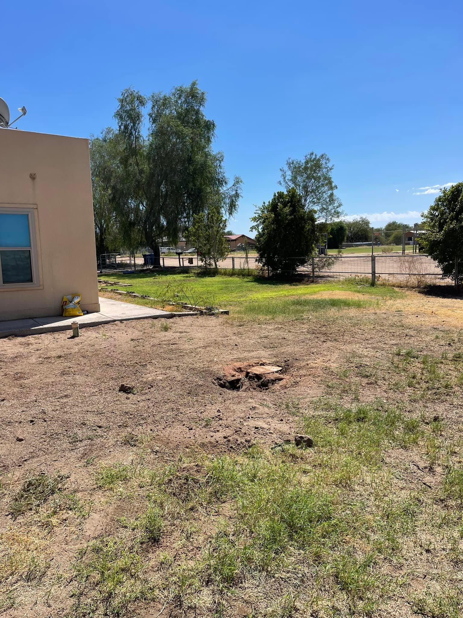  for Oliver L. Palm & Tree services in Yuma County, AZ