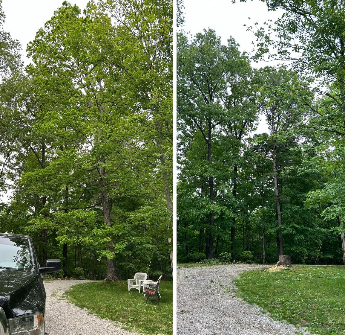 All Photos for McBee’s Tree Service in Sewanee, TN