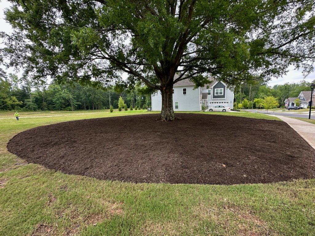  for Pecina Pine Needles in Monroe, NC