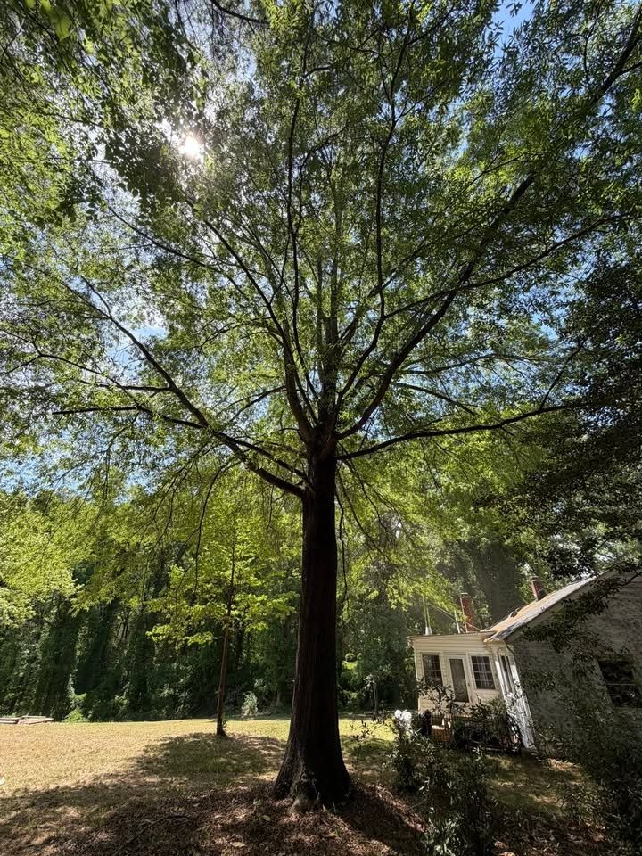 All Photos for Hunt’s Hauling & Landworks LLC in Danville, VA