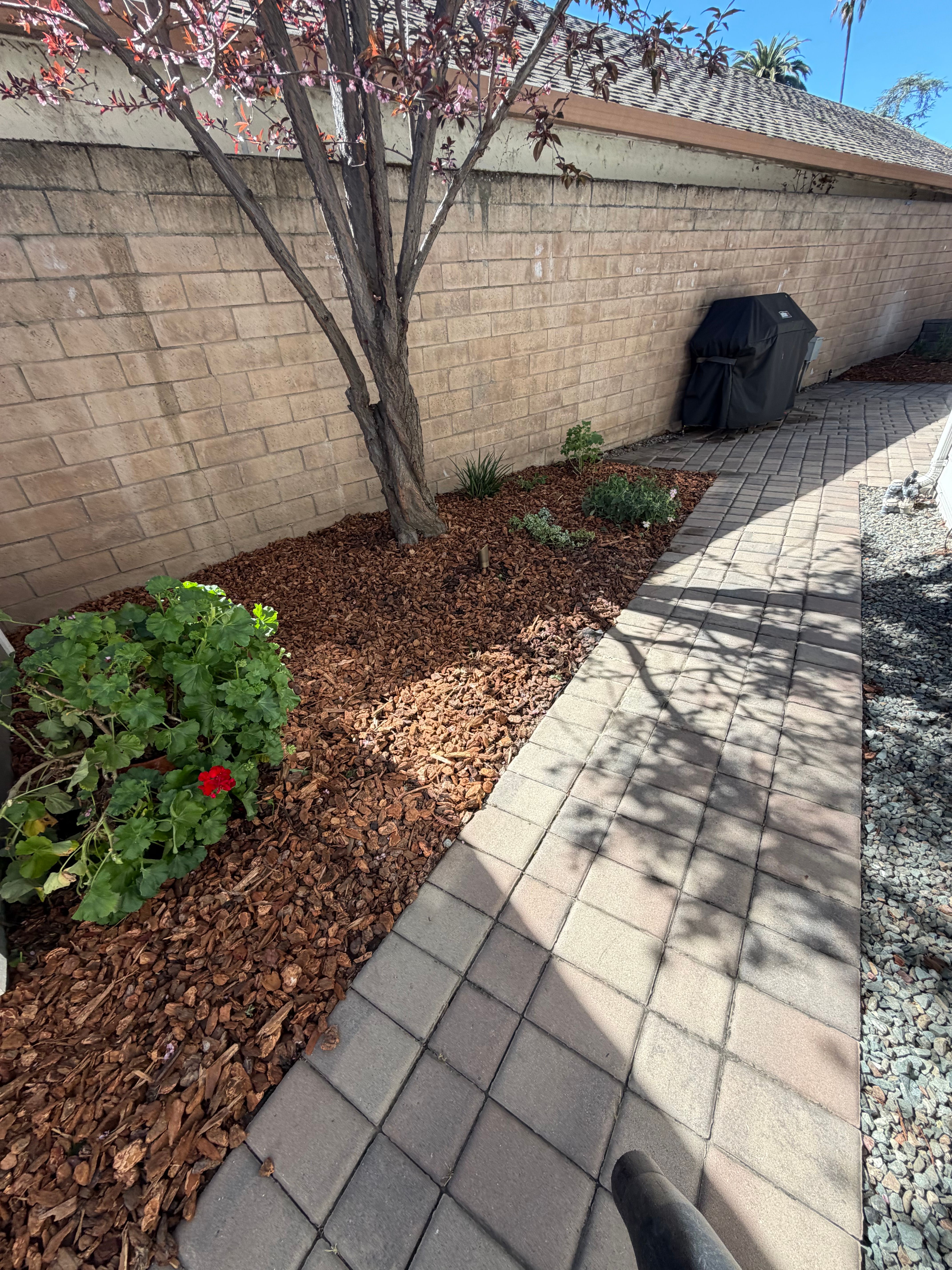  for CBA Landscaping in Hayward, CA