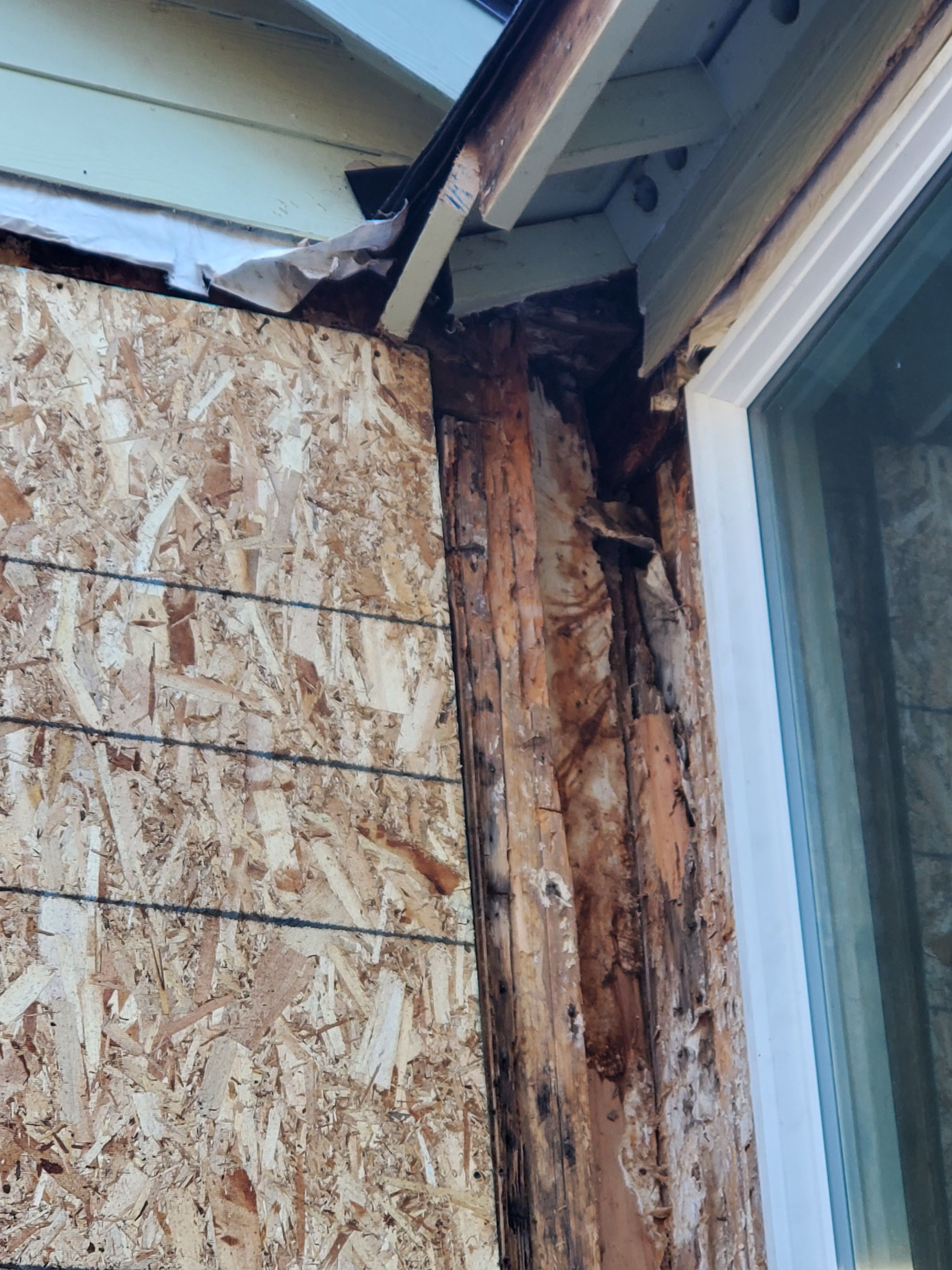  for Home Pros in Maple Falls, WA