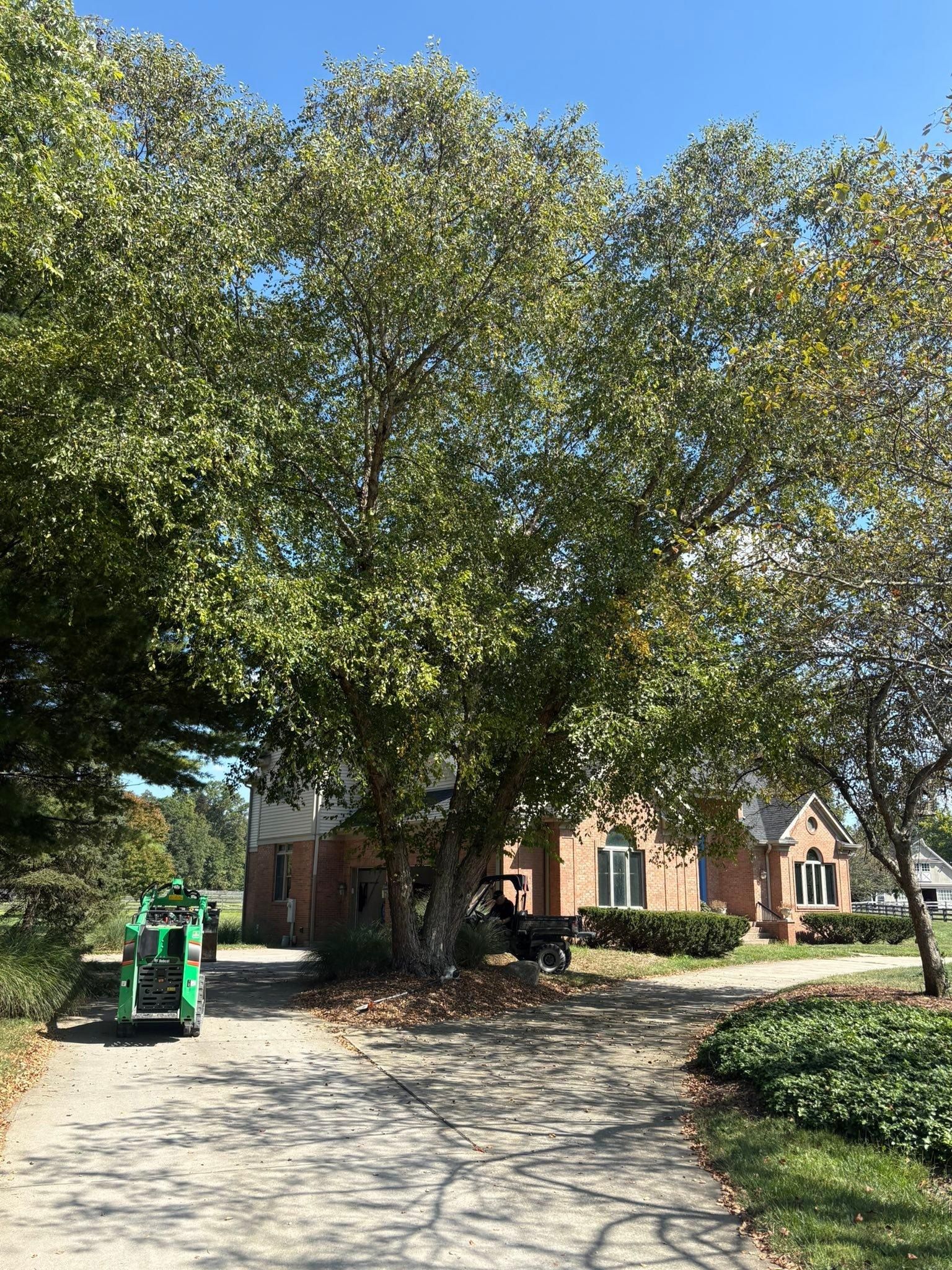  for Dig-It Tree Company in , 
