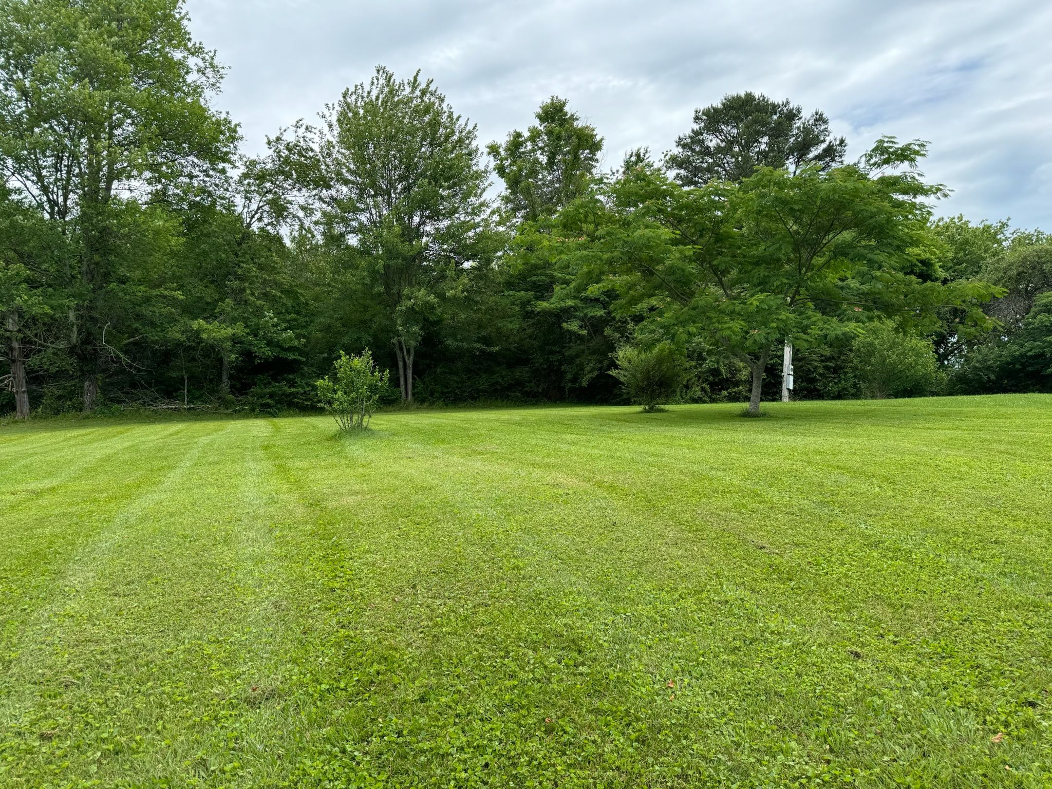  for Hale’s Hydroseeding in London, KY