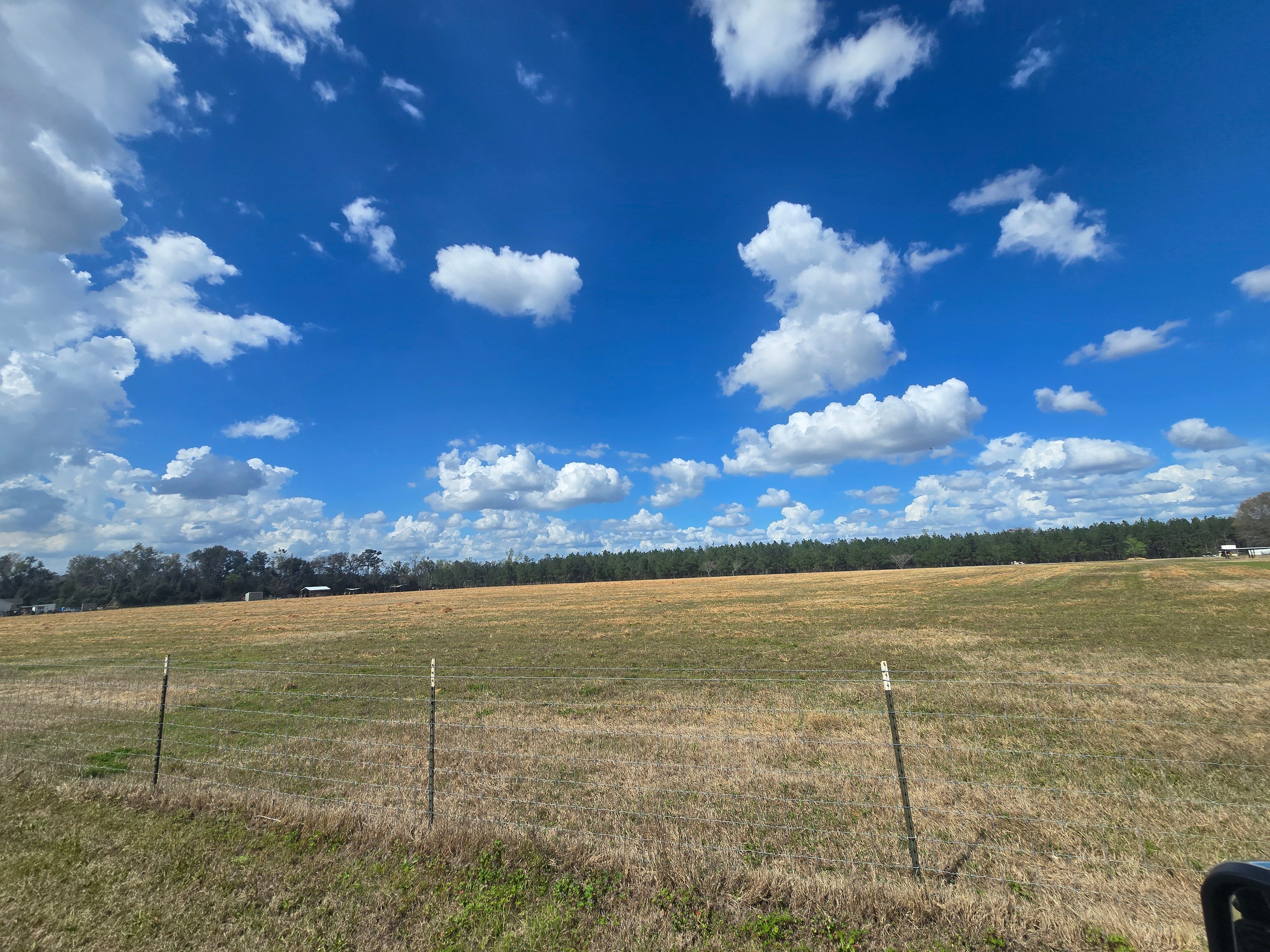  for Giles Land Management, LLC in Hahira, GA