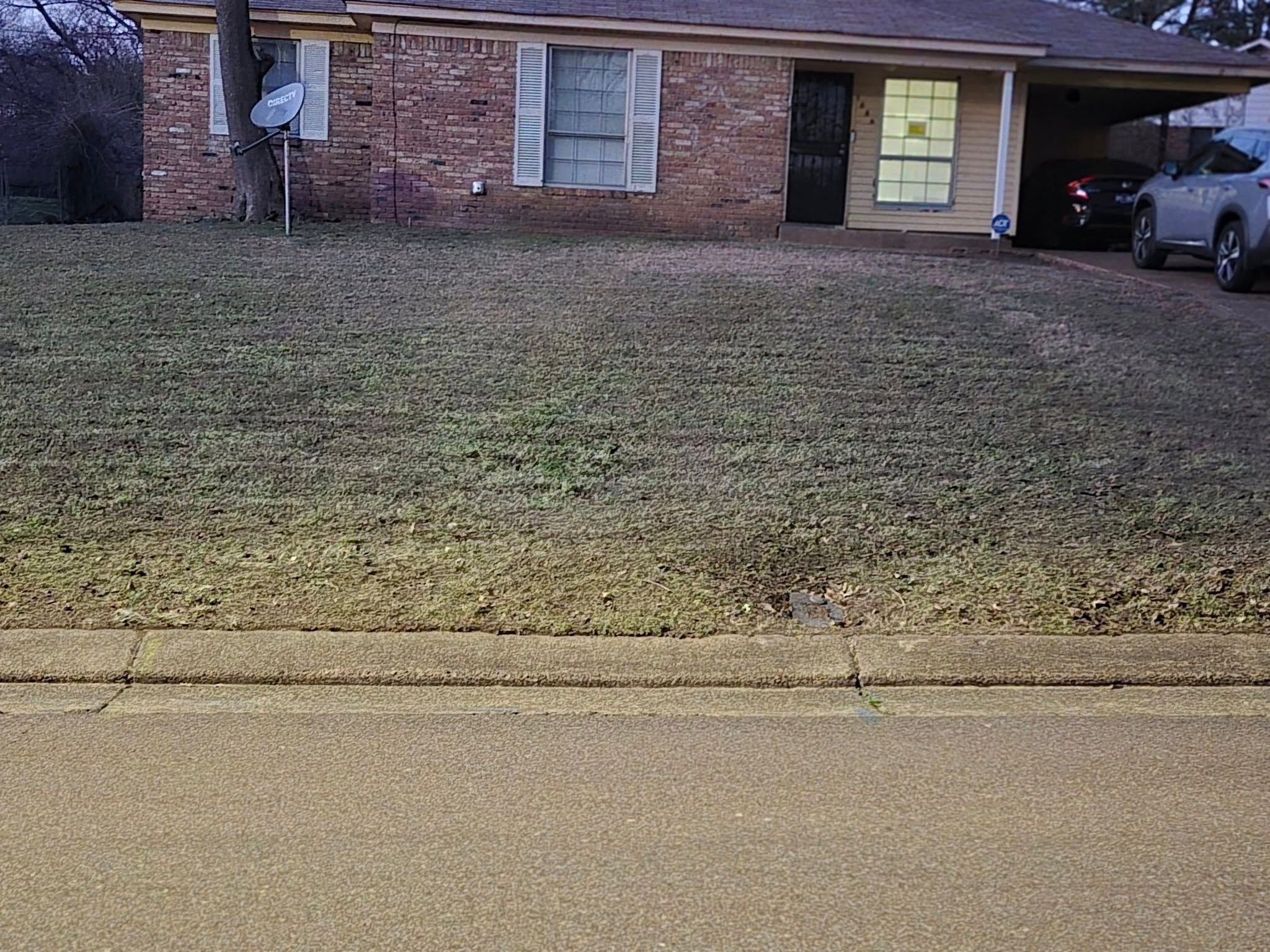  for The DUFF LAWN Service in Houston, Texas