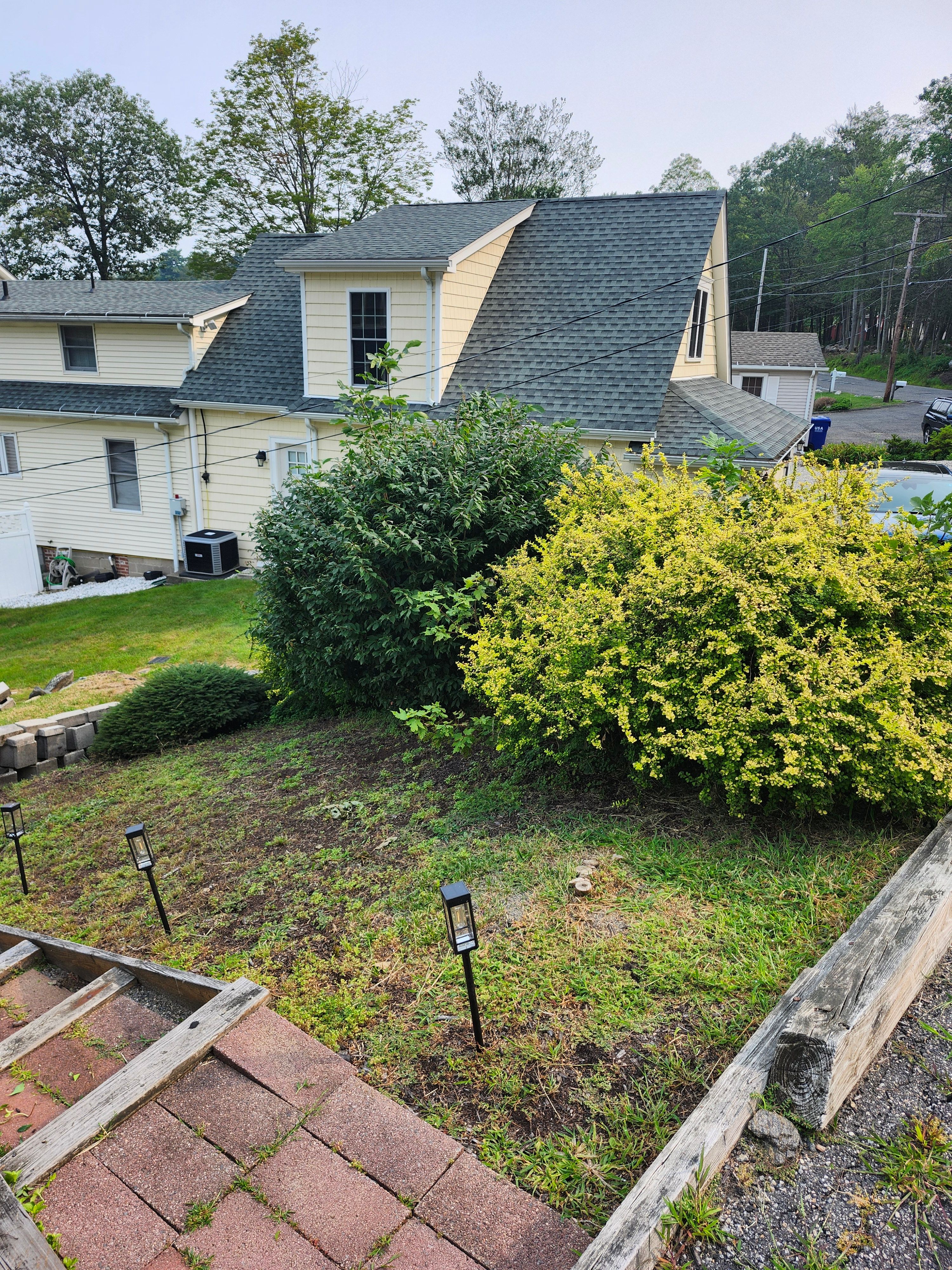 Hedge/Tree/Brush Cutting for Landscape Innovations LLC in Torrington, CT