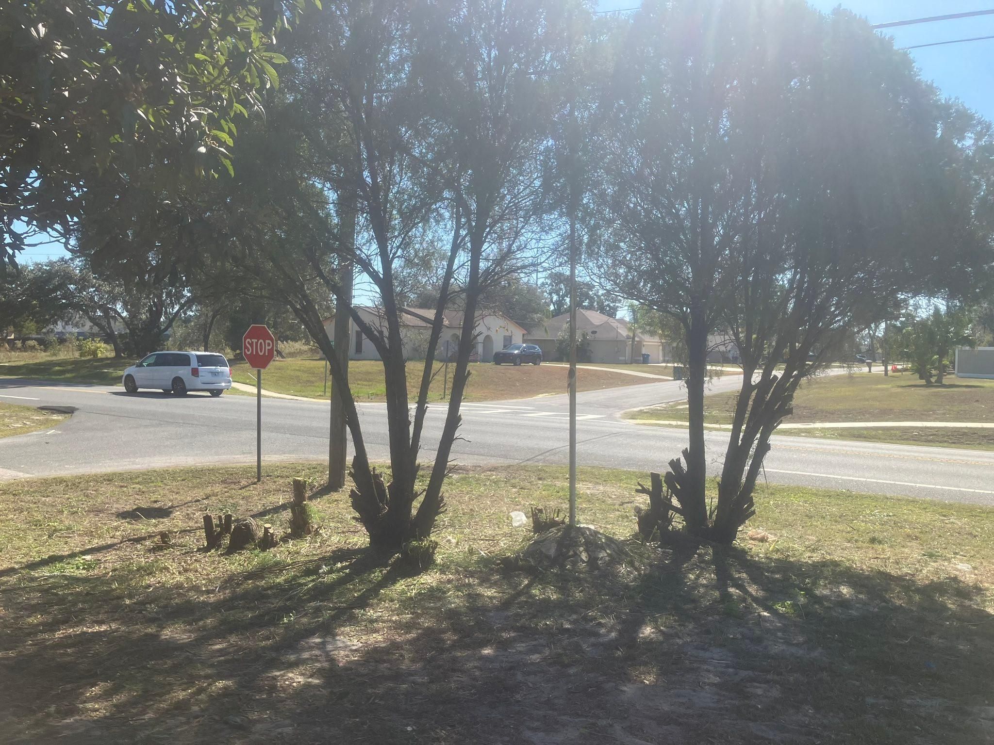  for Genesis Landscape Services in Spring Hill, FL