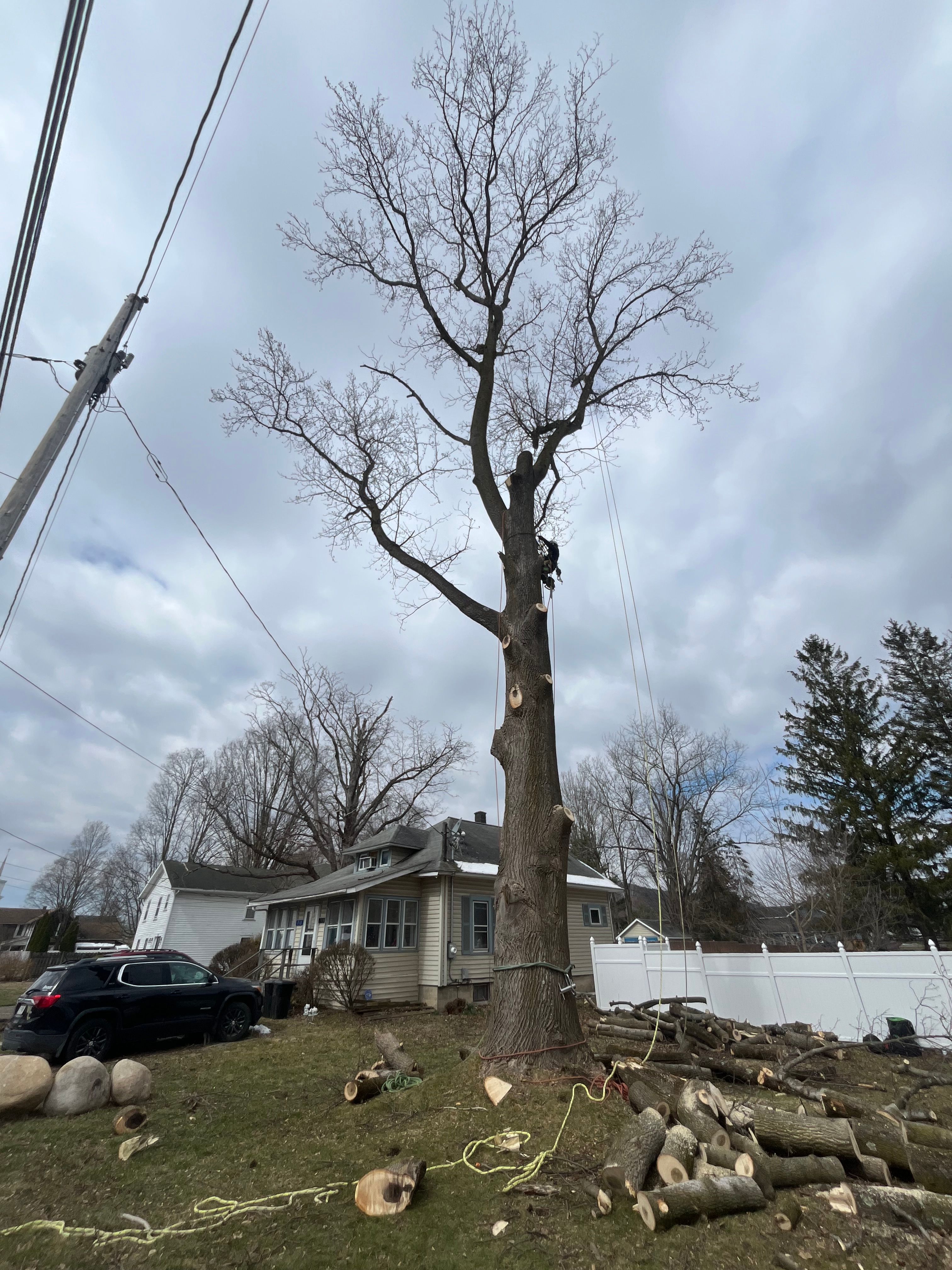 All Photos for Licensed to Cut Tree Service in Athens, PA