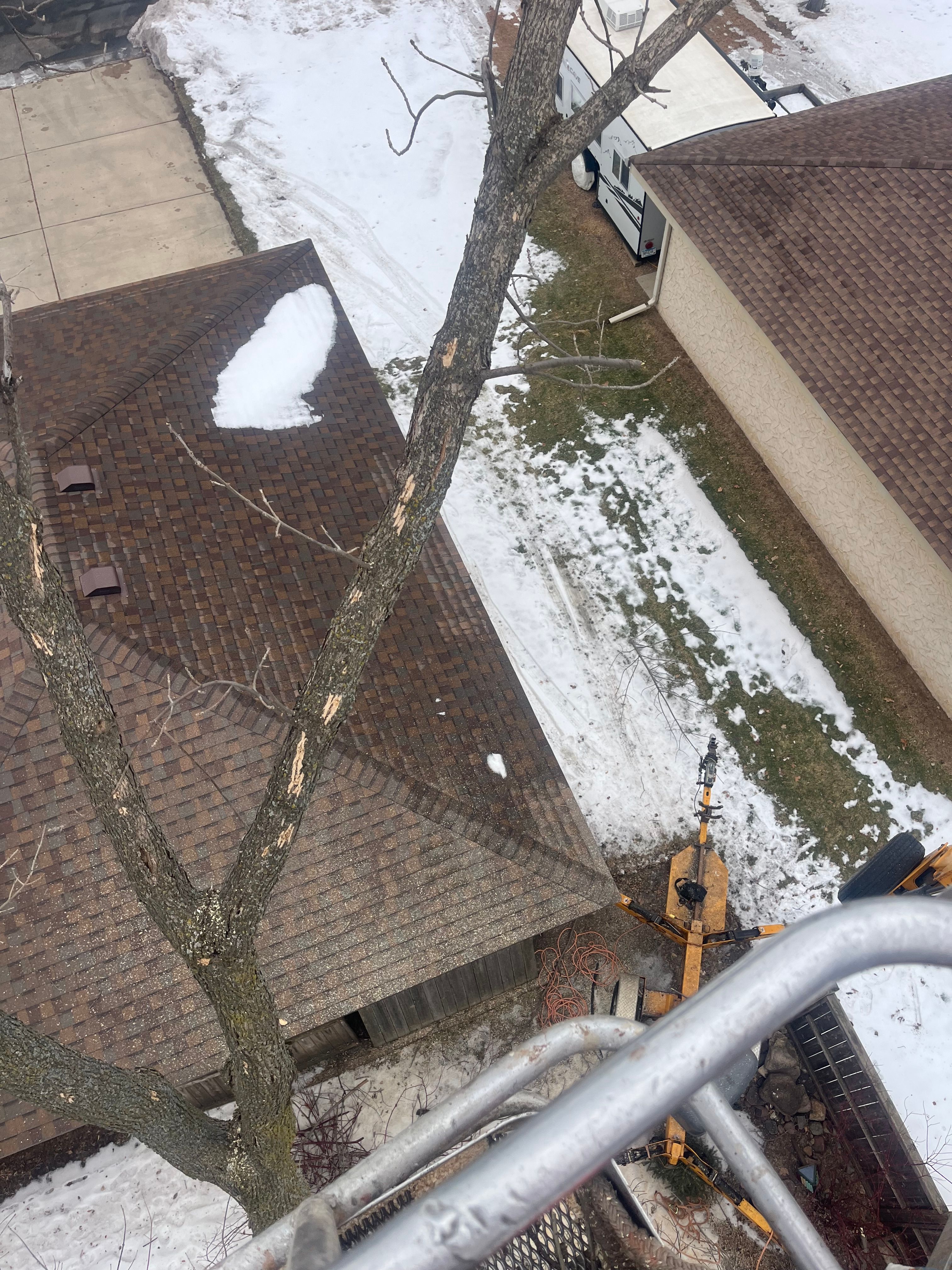 All Photos for K and Z Tree Care in Isanti County, MN