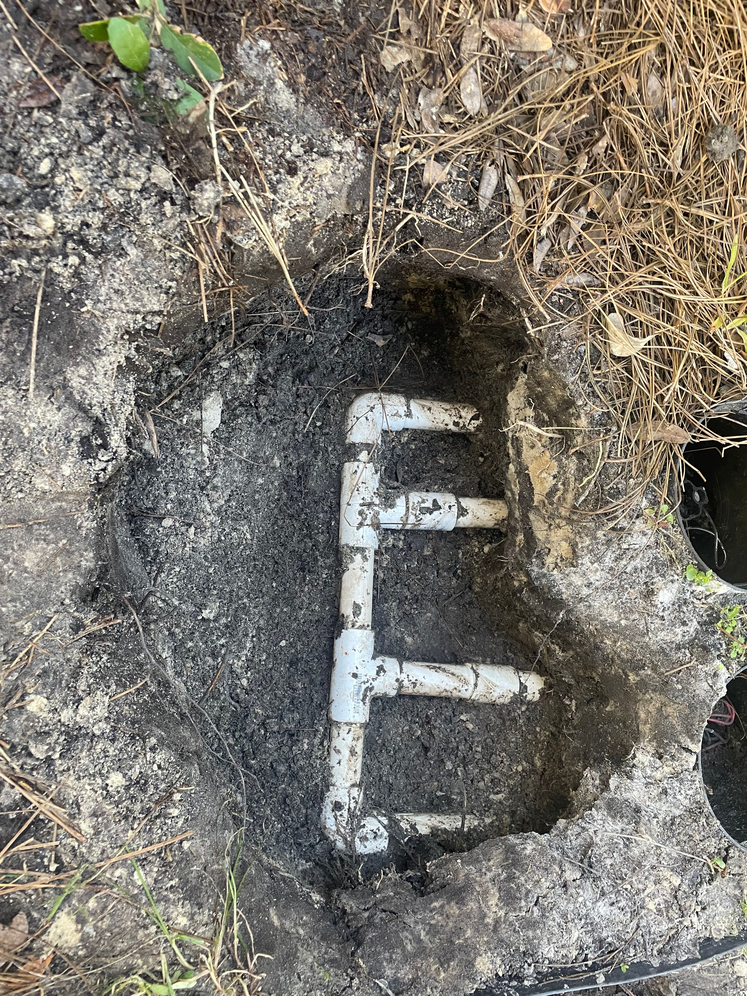  for Golden Isles Greenery in Brunswick, GA