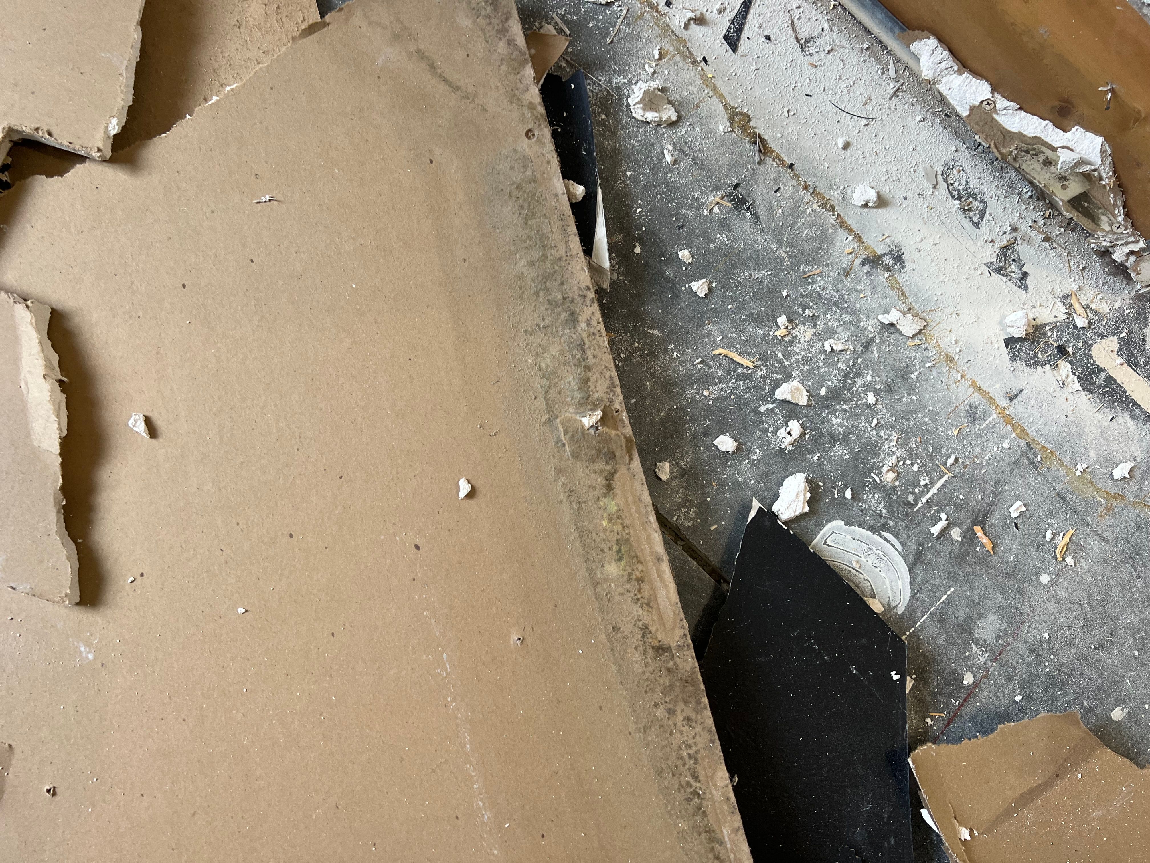  for N&D Restoration Services When Disaster Strikes, We Come In in Cape Coral,  FL