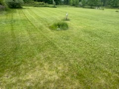  for Daugherty's Tough Lawn Care in Essexville, MI