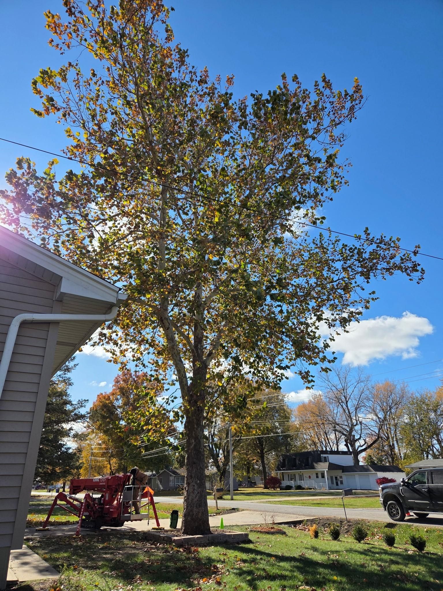  for Lawn Ranger Yard And Tree Service LLC in Ottumwa, IA
