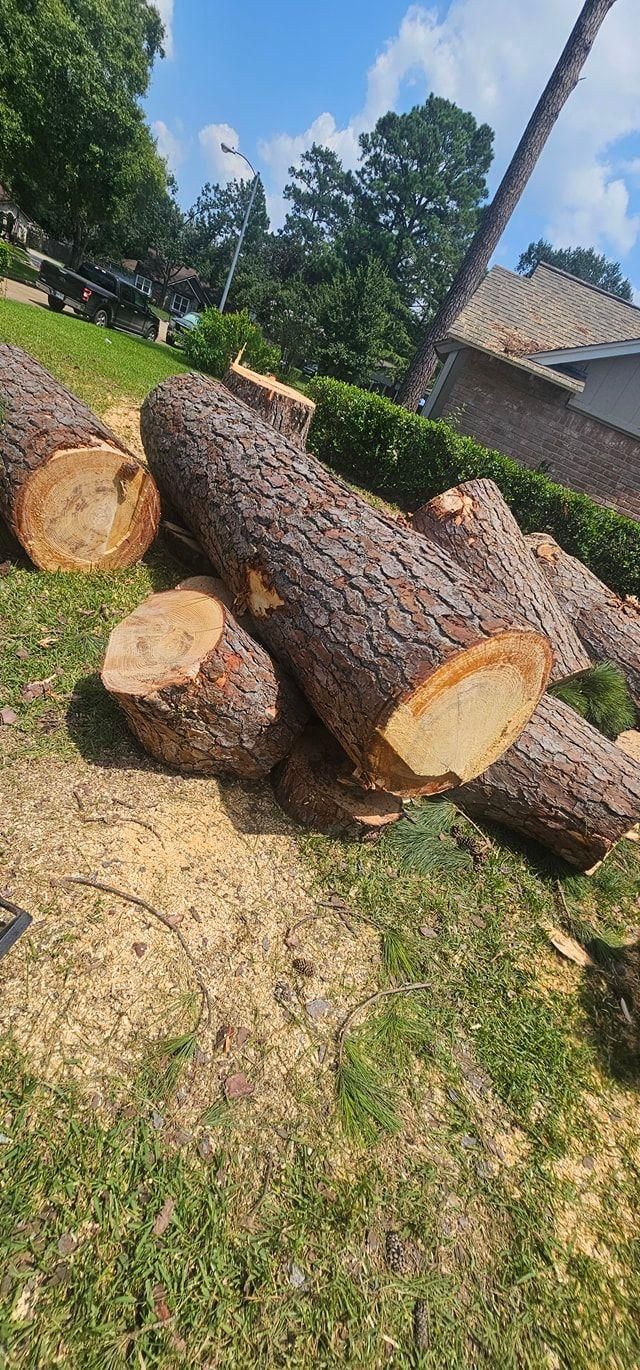  for Servin's Tree Care  in Houston, TX