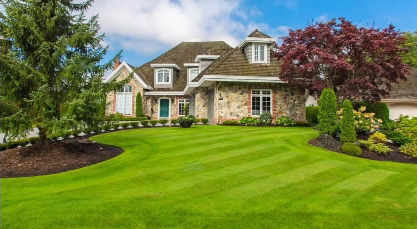  for Perfect Cut Lawn & Tree Care in Citrus Springs, FL